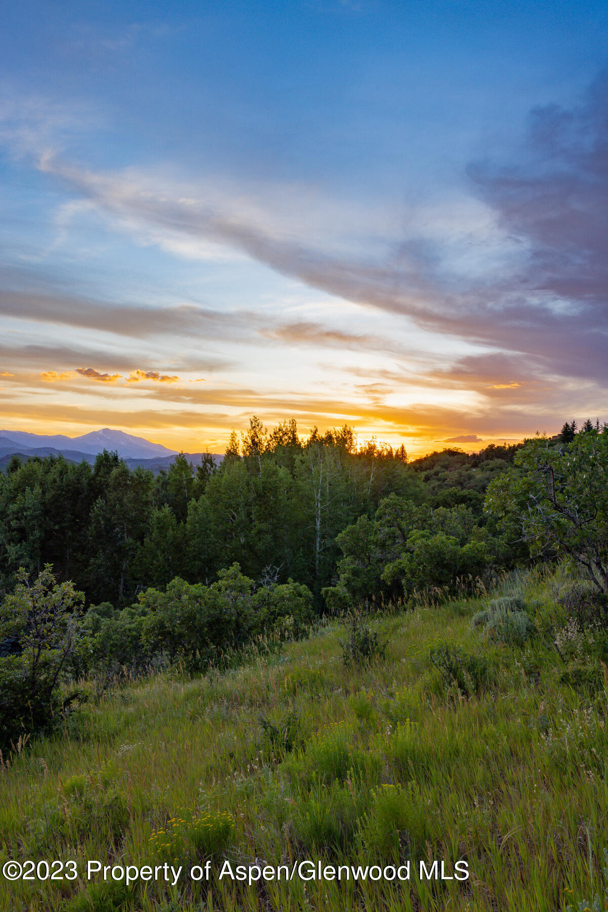 754 Eppley Drive Aspen CO 81611