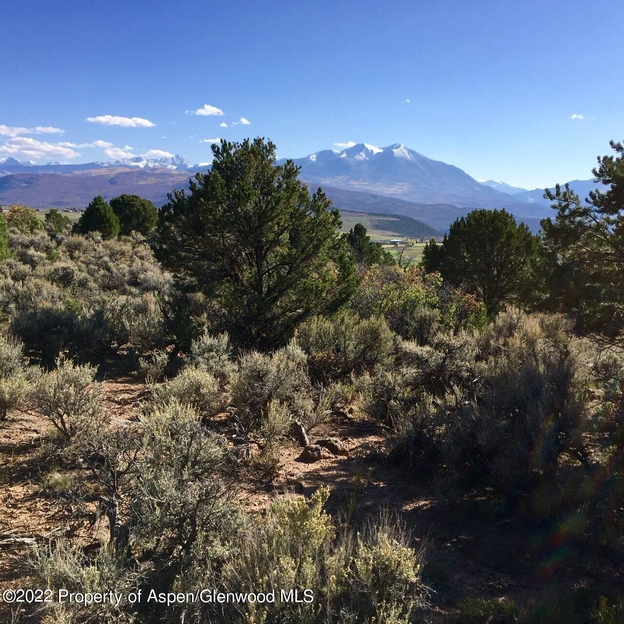 Tbd County Road 170 Carbondale CO 81623