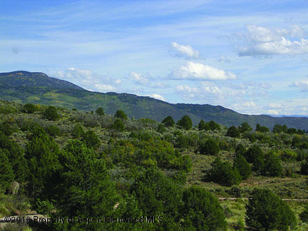 Tbd County Road 170 Carbondale CO 81623