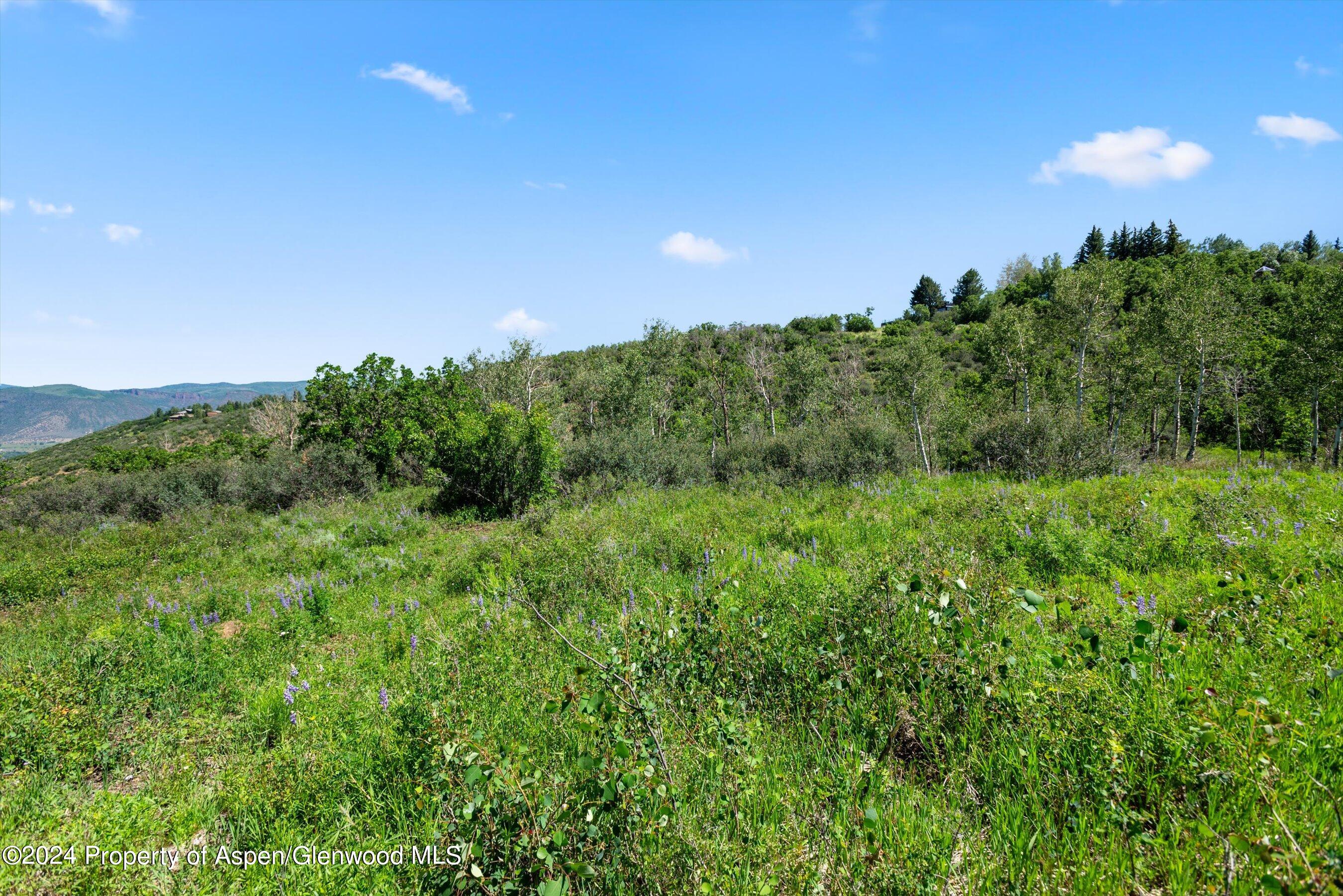 Tbd Trentaz Drive Aspen CO 81611