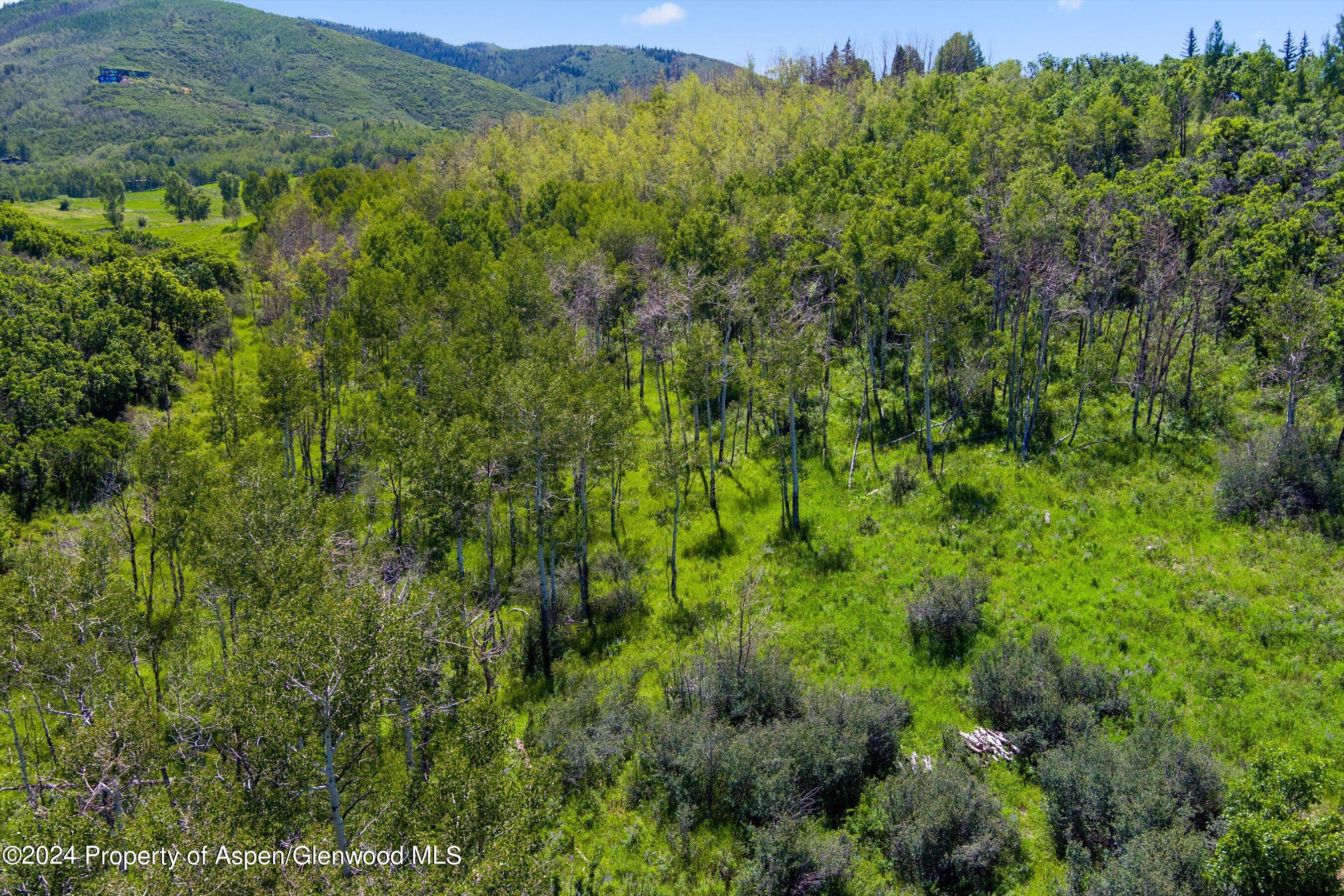 Tbd Trentaz Drive Aspen CO 81611