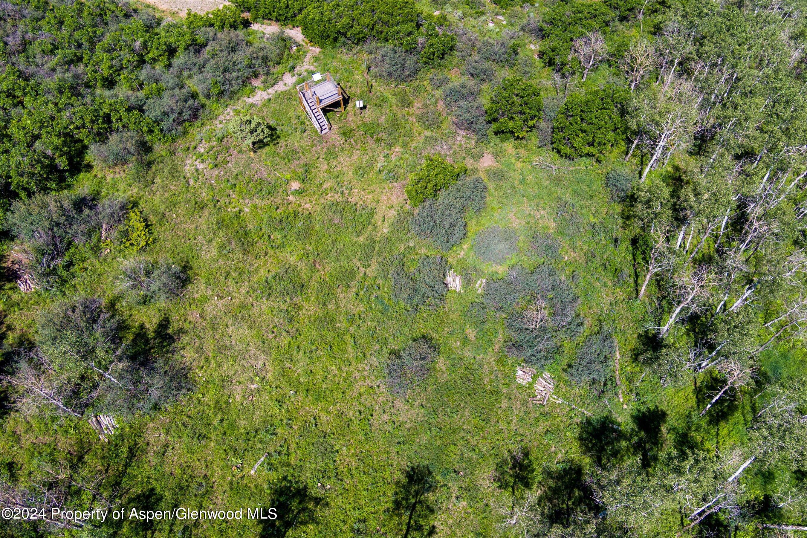 Tbd Trentaz Drive Aspen CO 81611