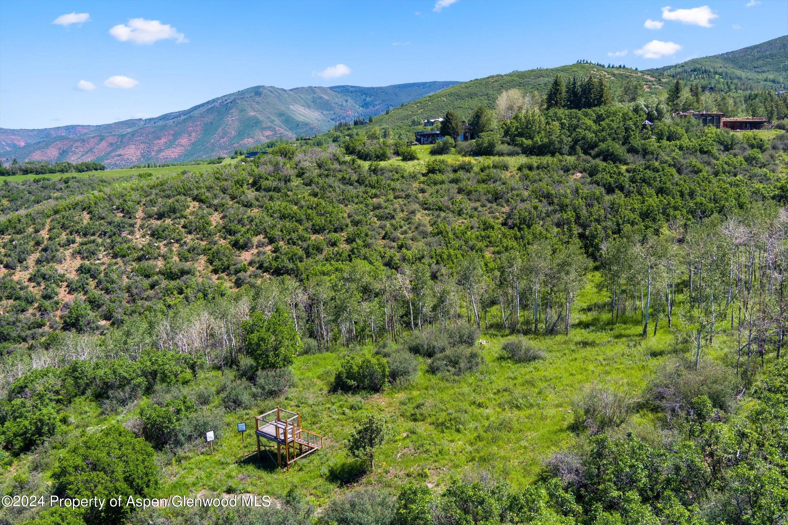 Tbd Trentaz Drive Aspen CO 81611