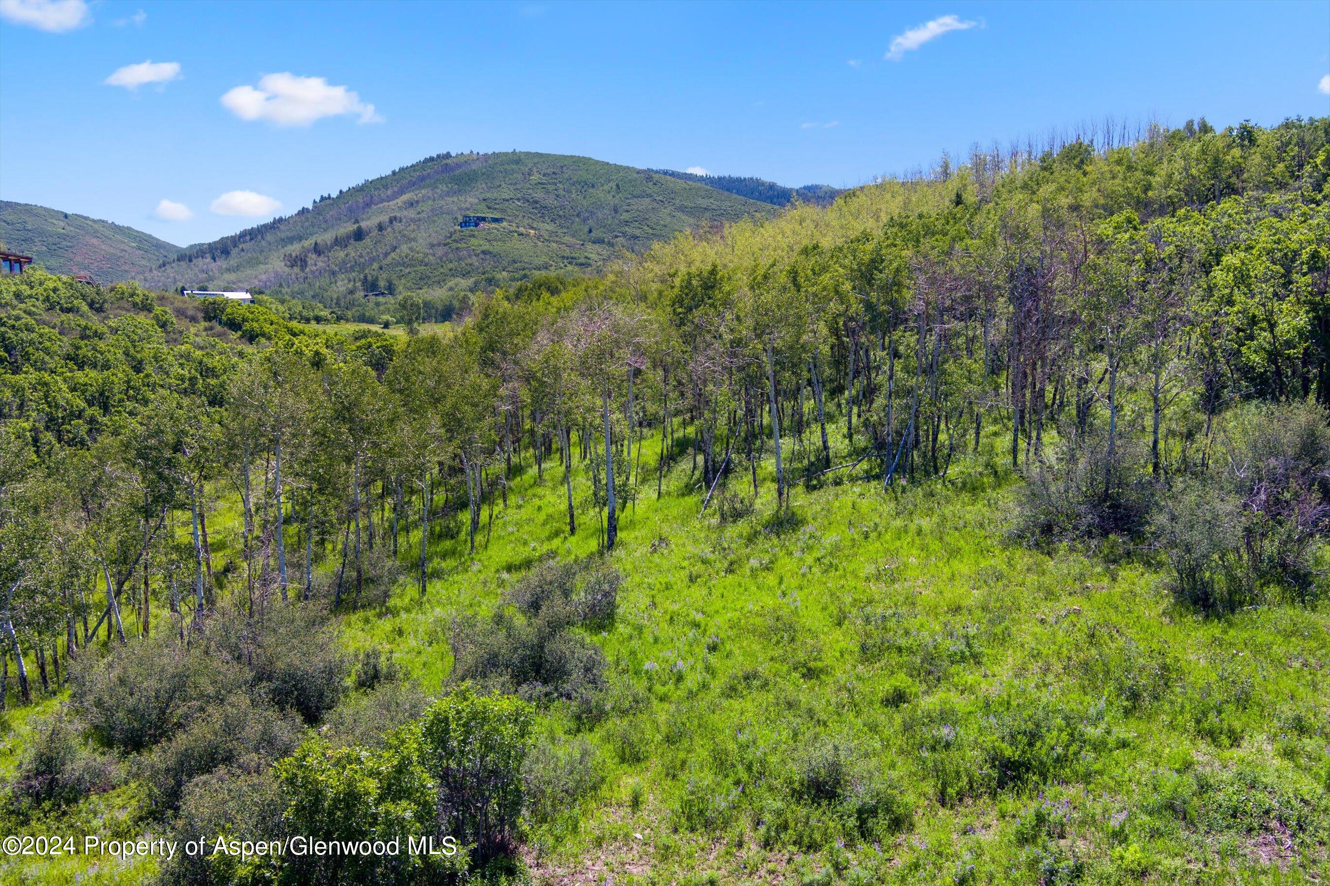 Tbd Trentaz Drive Aspen CO 81611