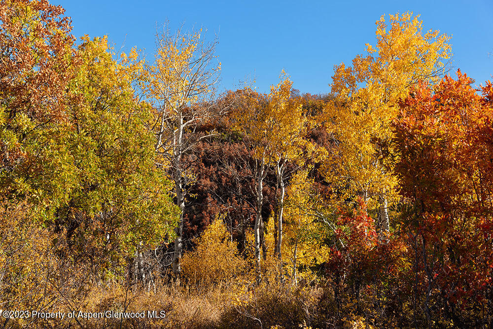 Tbd Trentaz Drive Aspen CO 81611