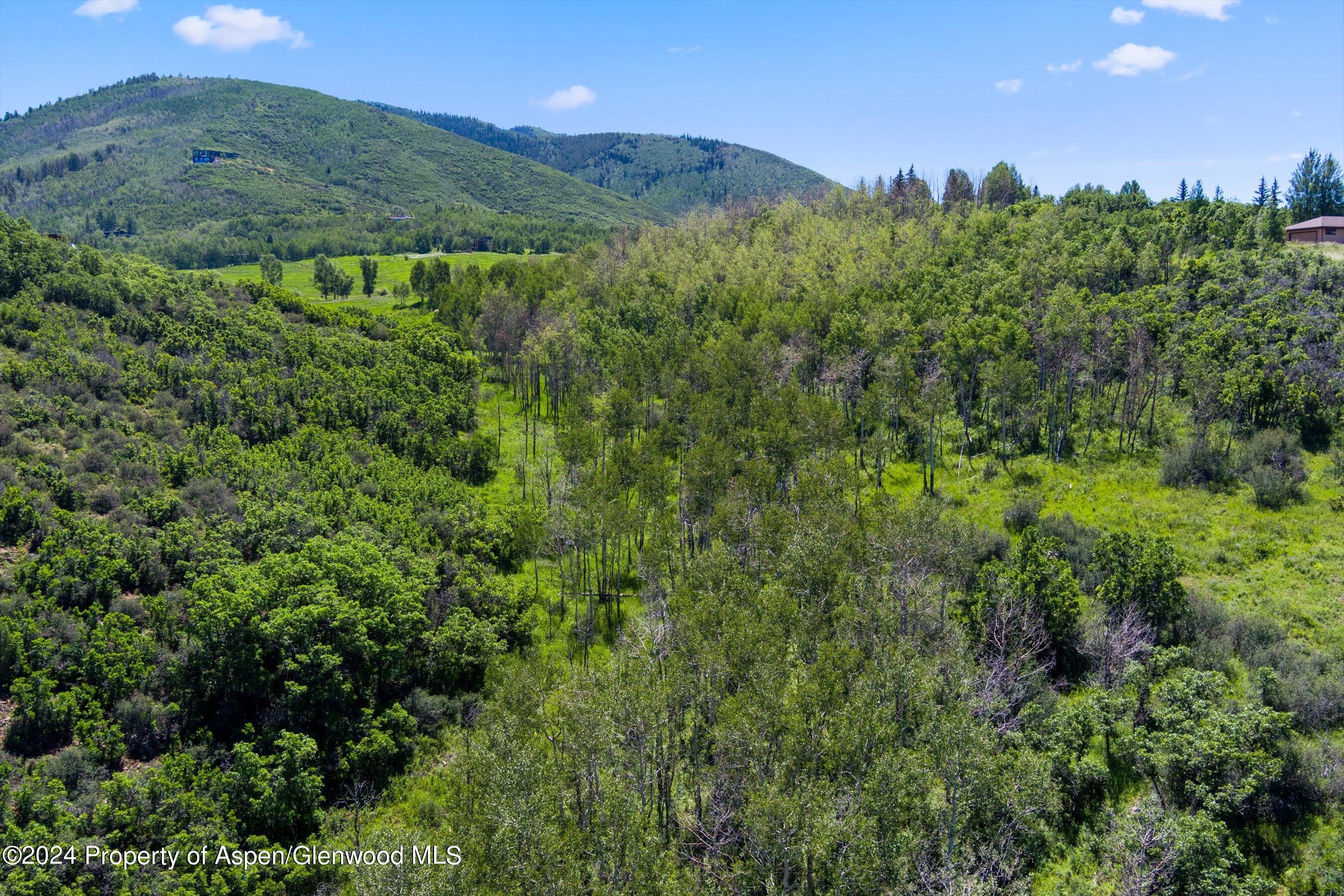 Tbd Trentaz Drive Aspen CO 81611