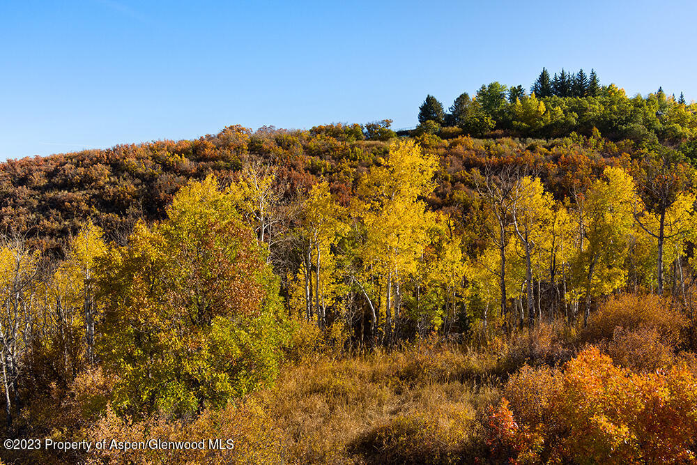 Tbd Trentaz Drive Aspen CO 81611