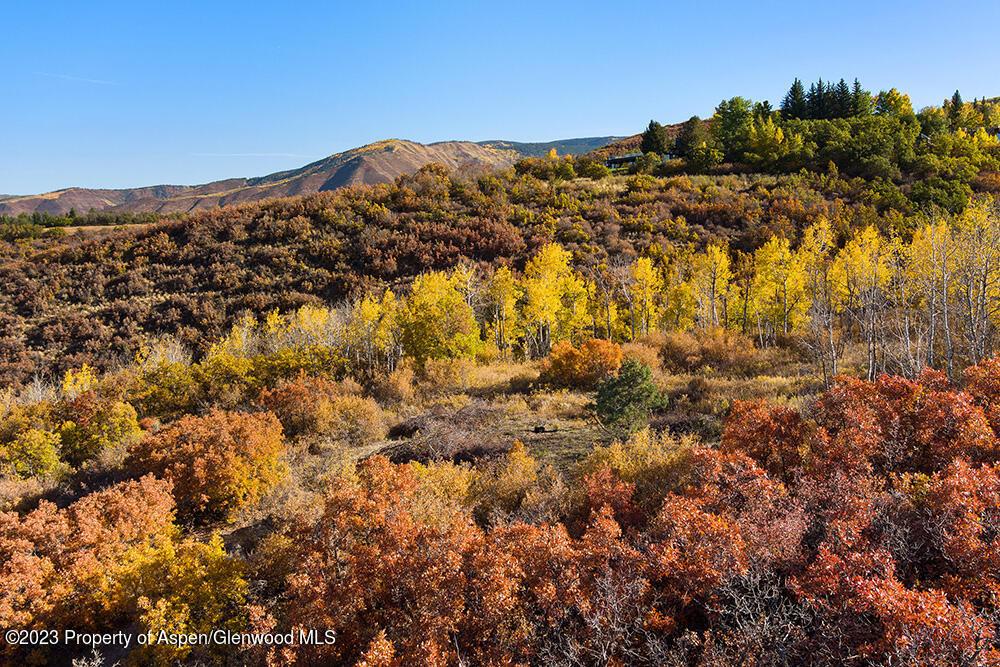 Tbd Trentaz Drive Aspen CO 81611