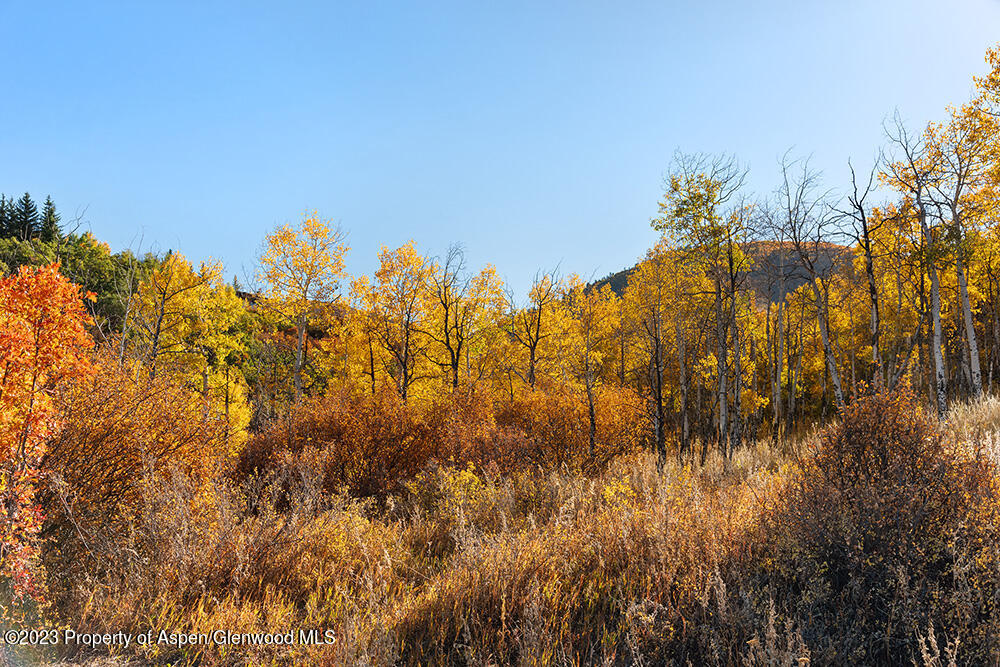 Tbd Trentaz Drive Aspen CO 81611