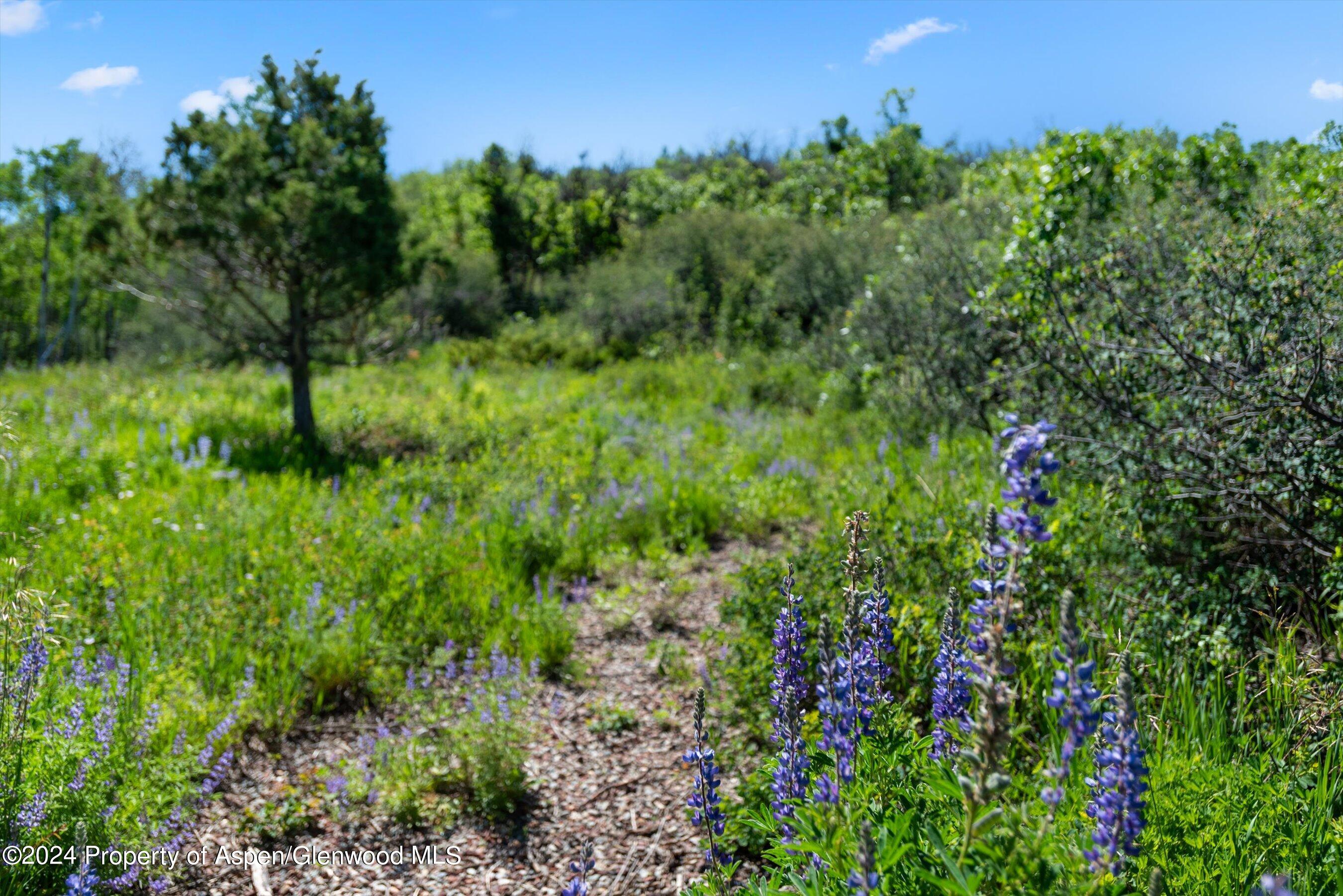 Tbd Trentaz Drive Aspen CO 81611