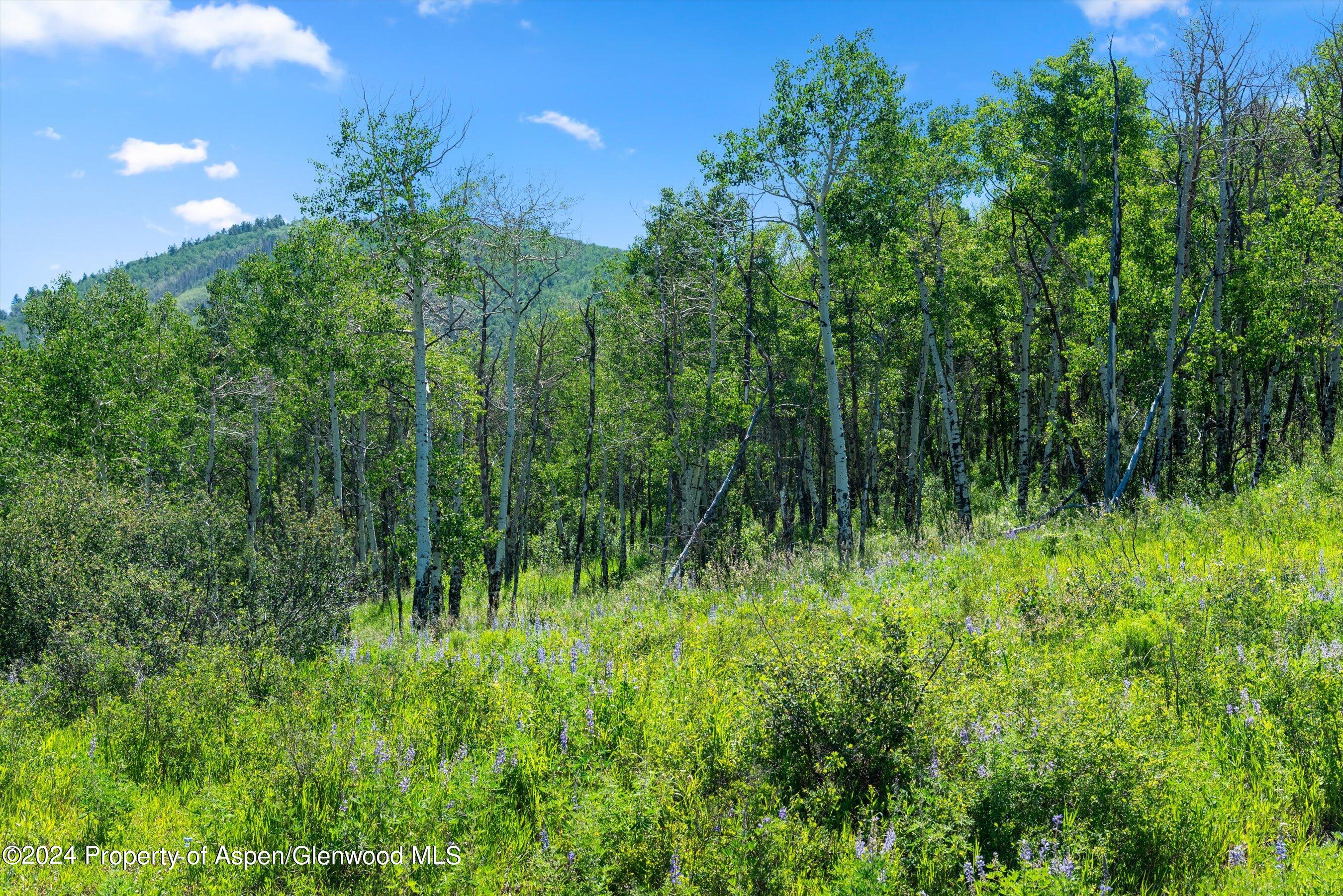 Tbd Trentaz Drive Aspen CO 81611