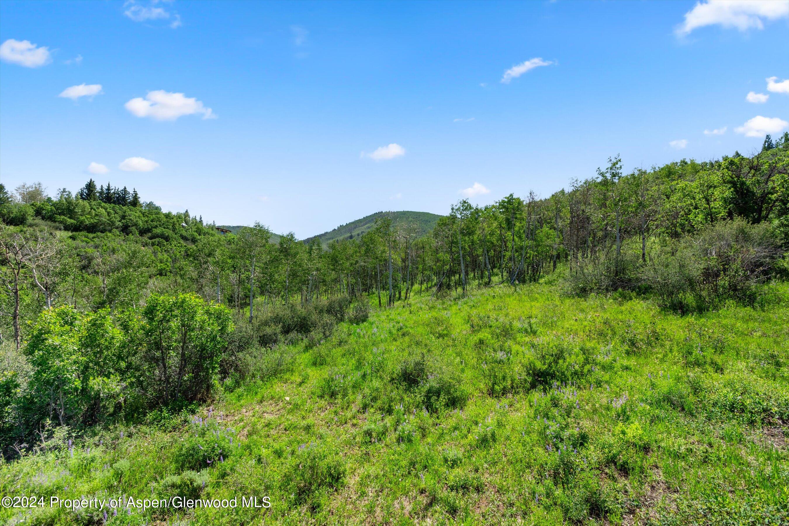 Tbd Trentaz Drive Aspen CO 81611