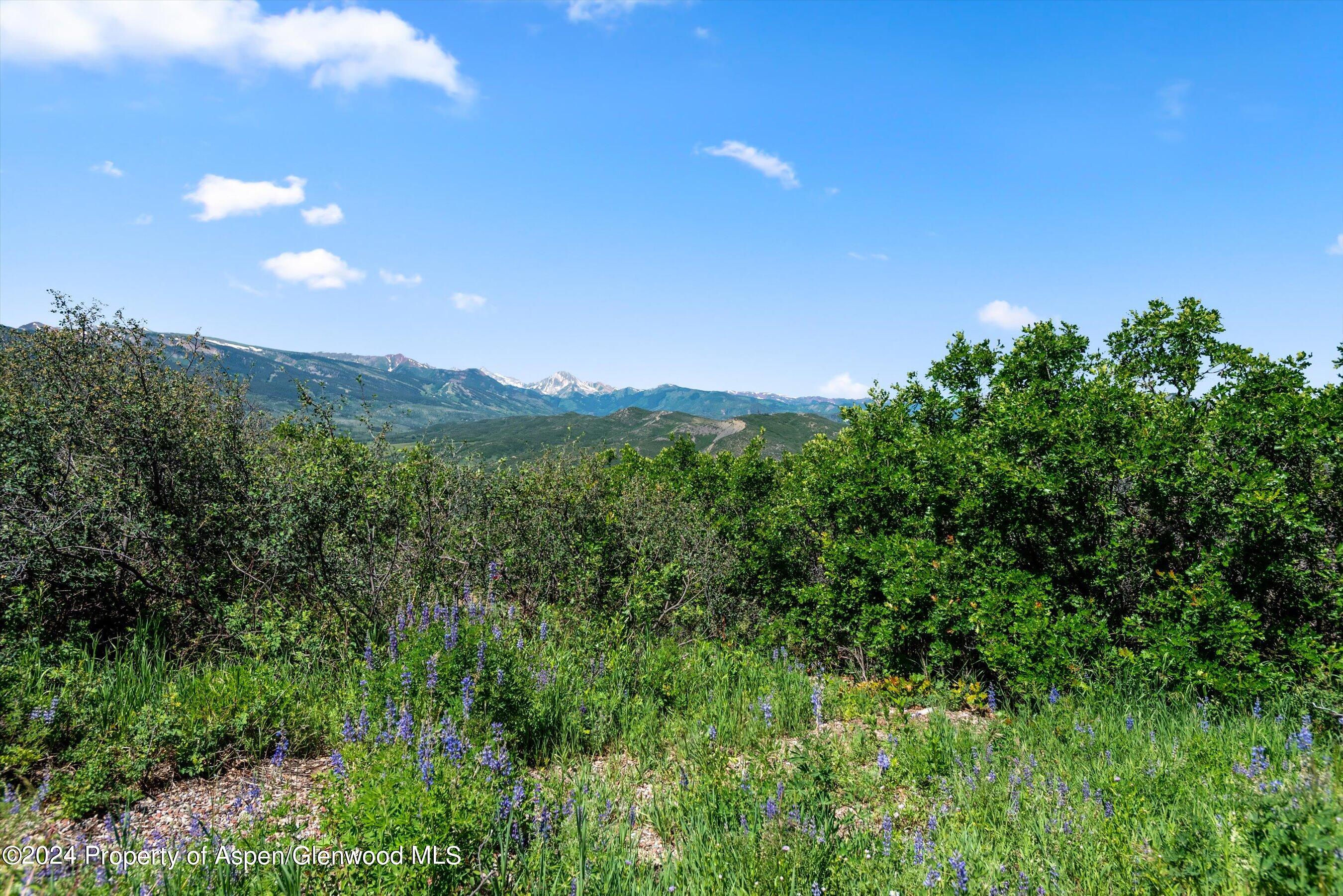 Tbd Trentaz Drive Aspen CO 81611