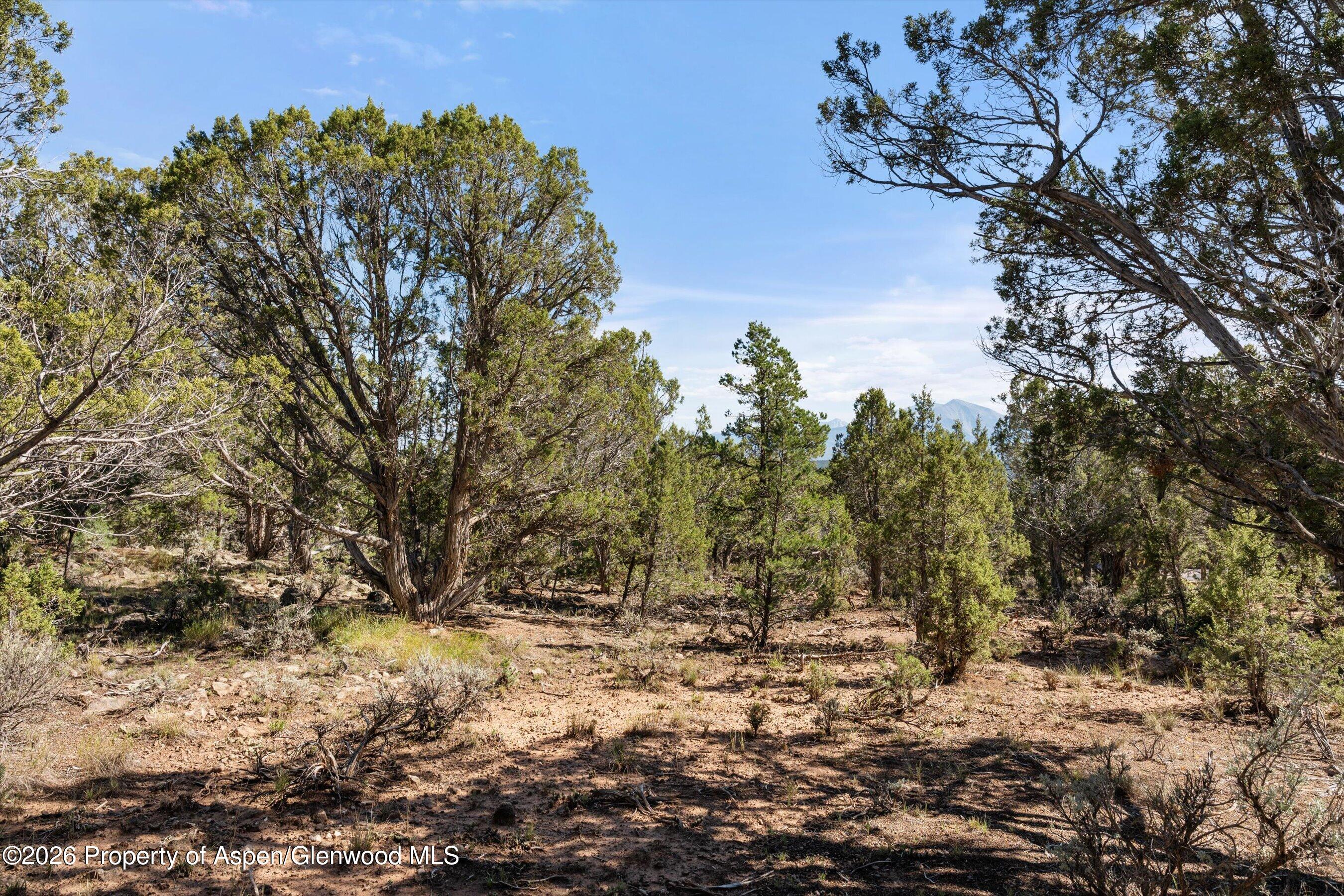 198 Crescent Lane Glenwood Springs CO 81601