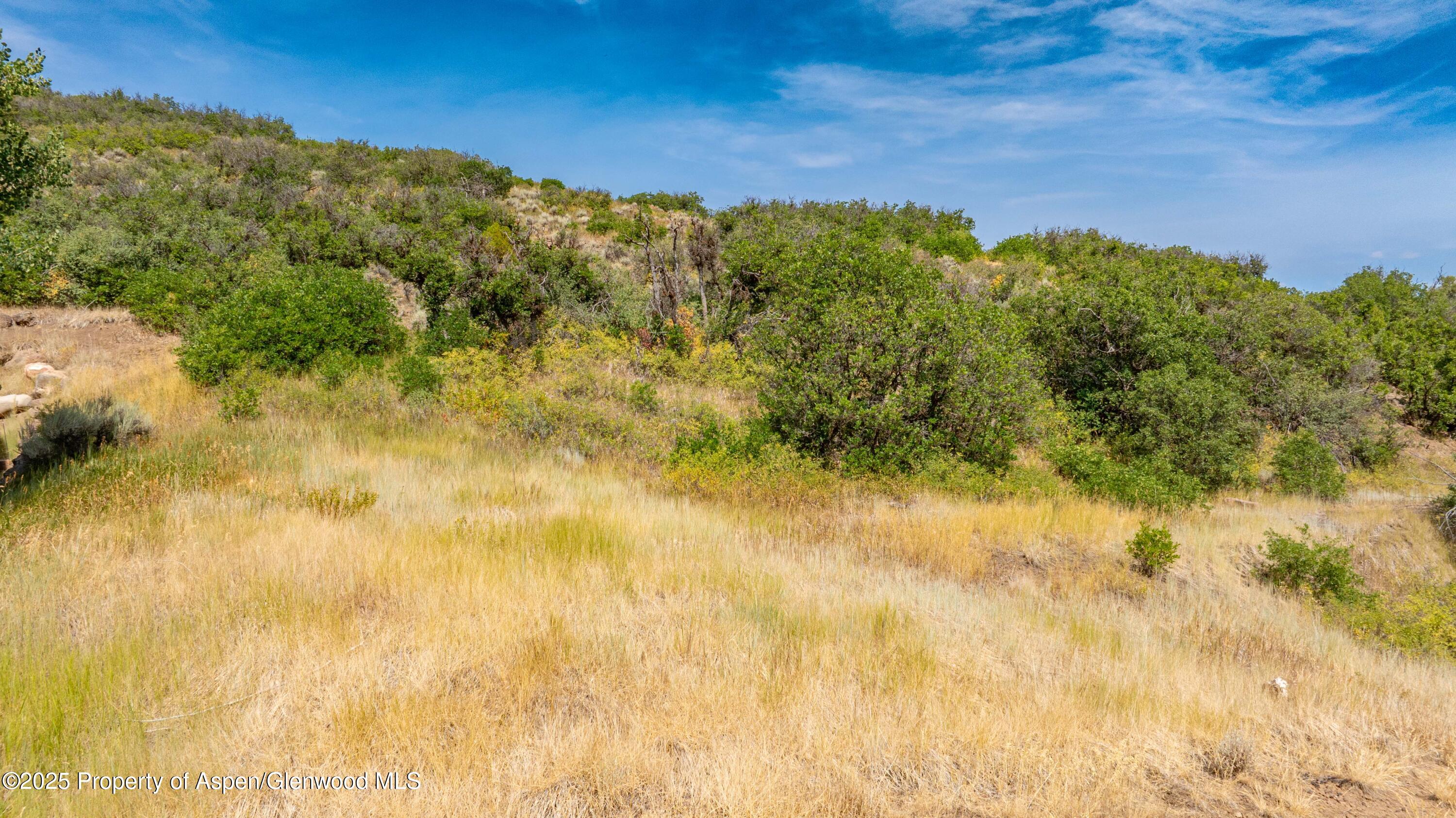 305 Old Midland Spur Glenwood Springs CO 81601