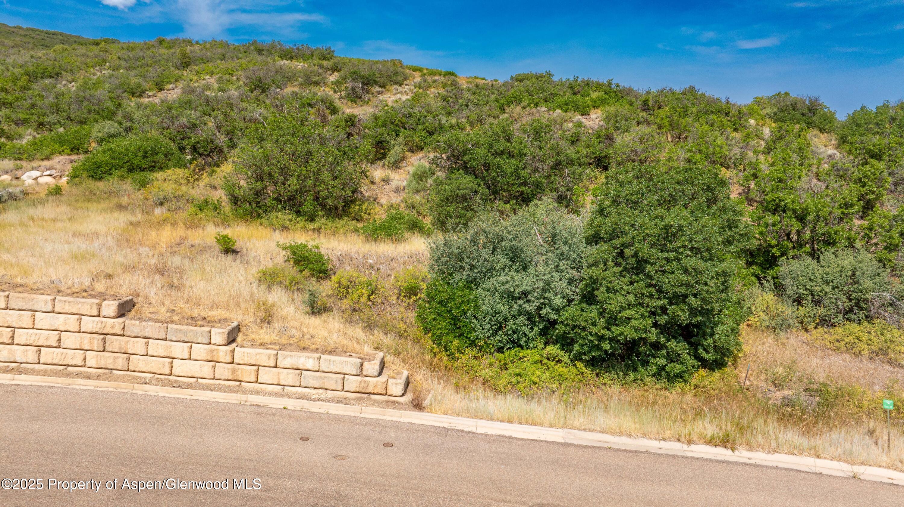 305 Old Midland Spur Glenwood Springs CO 81601