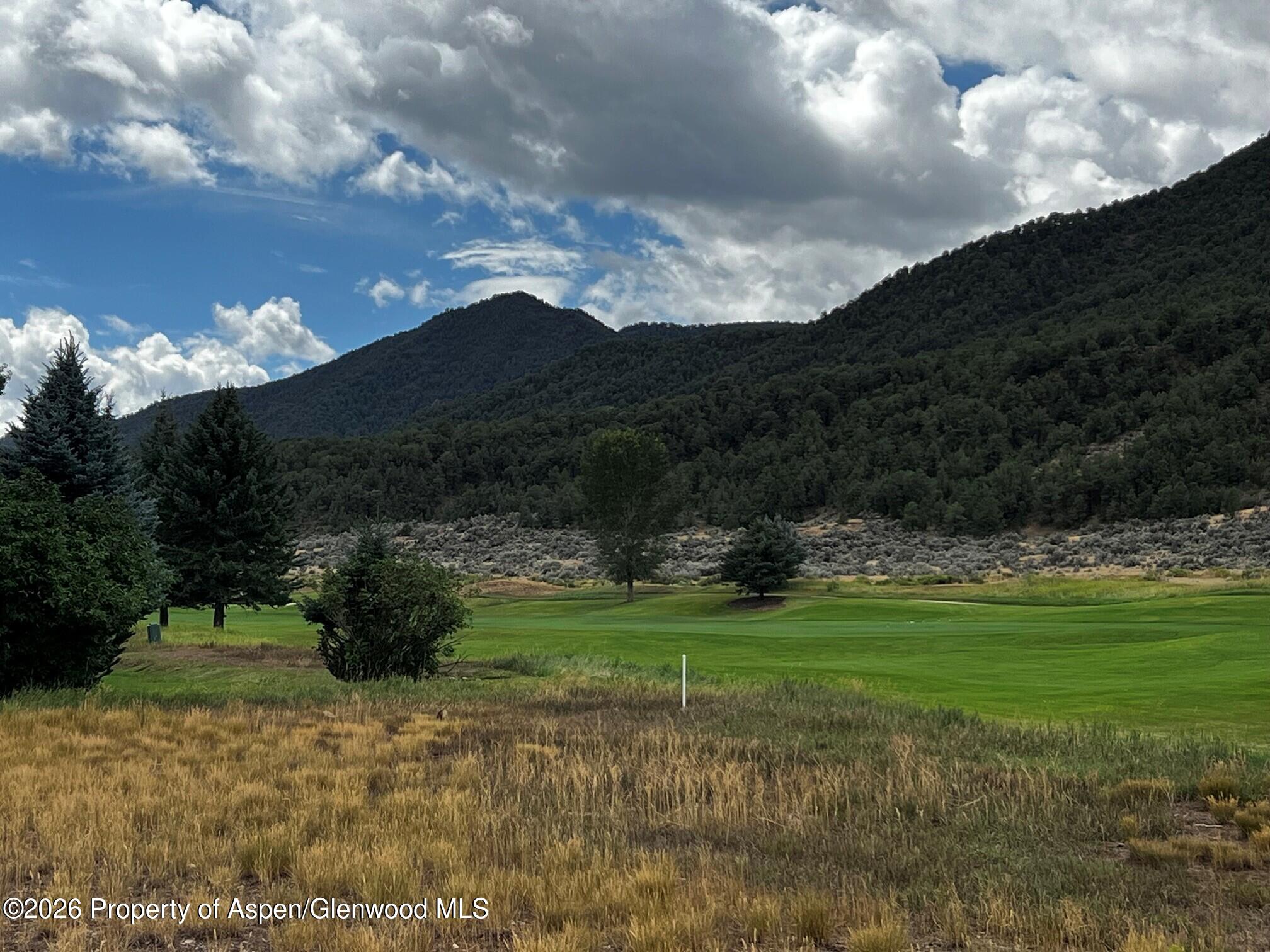 Tbd Golden Bear Drive Carbondale CO 81623