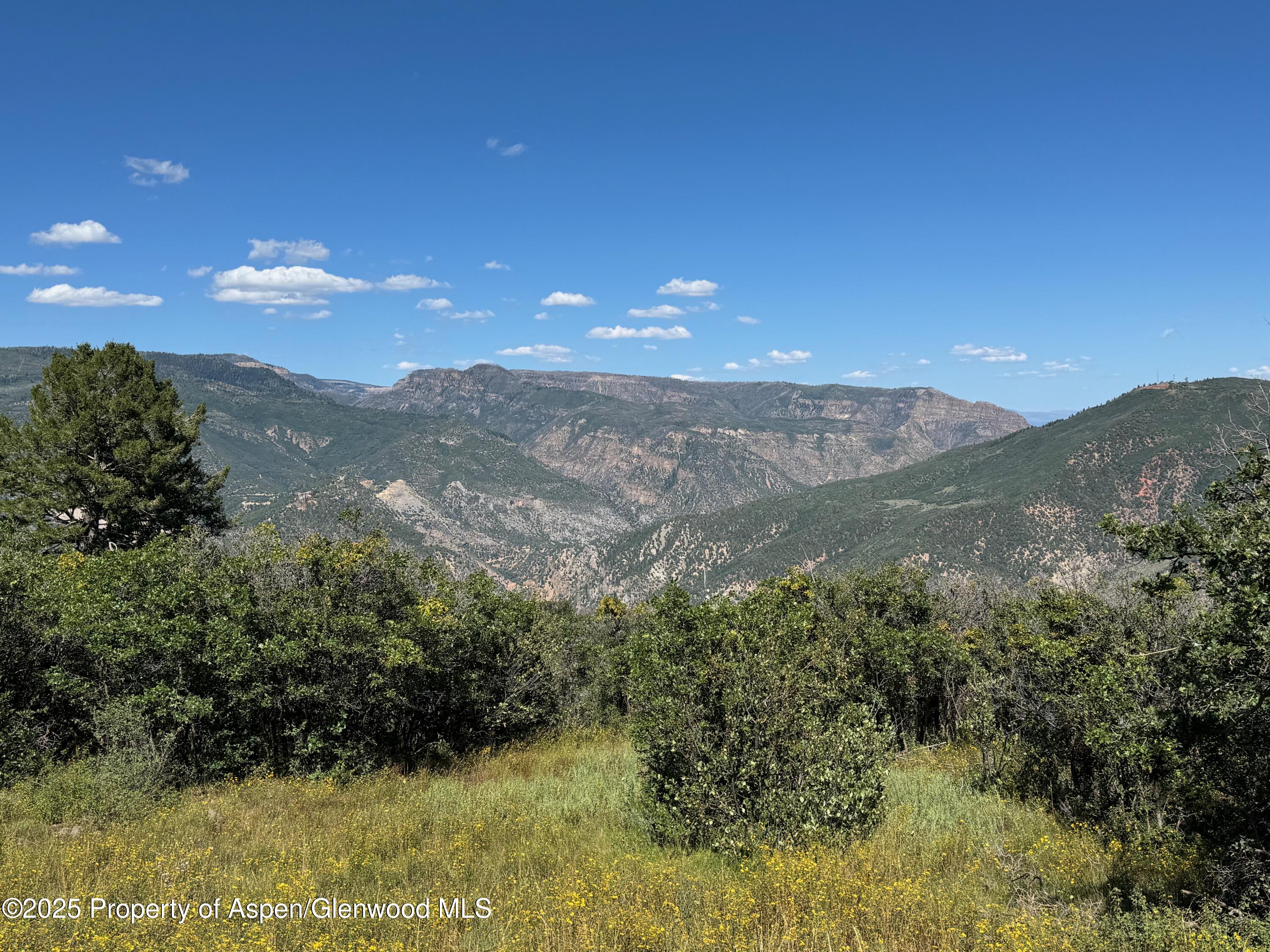 3600 Bear Paw Lane Glenwood Springs CO 81601