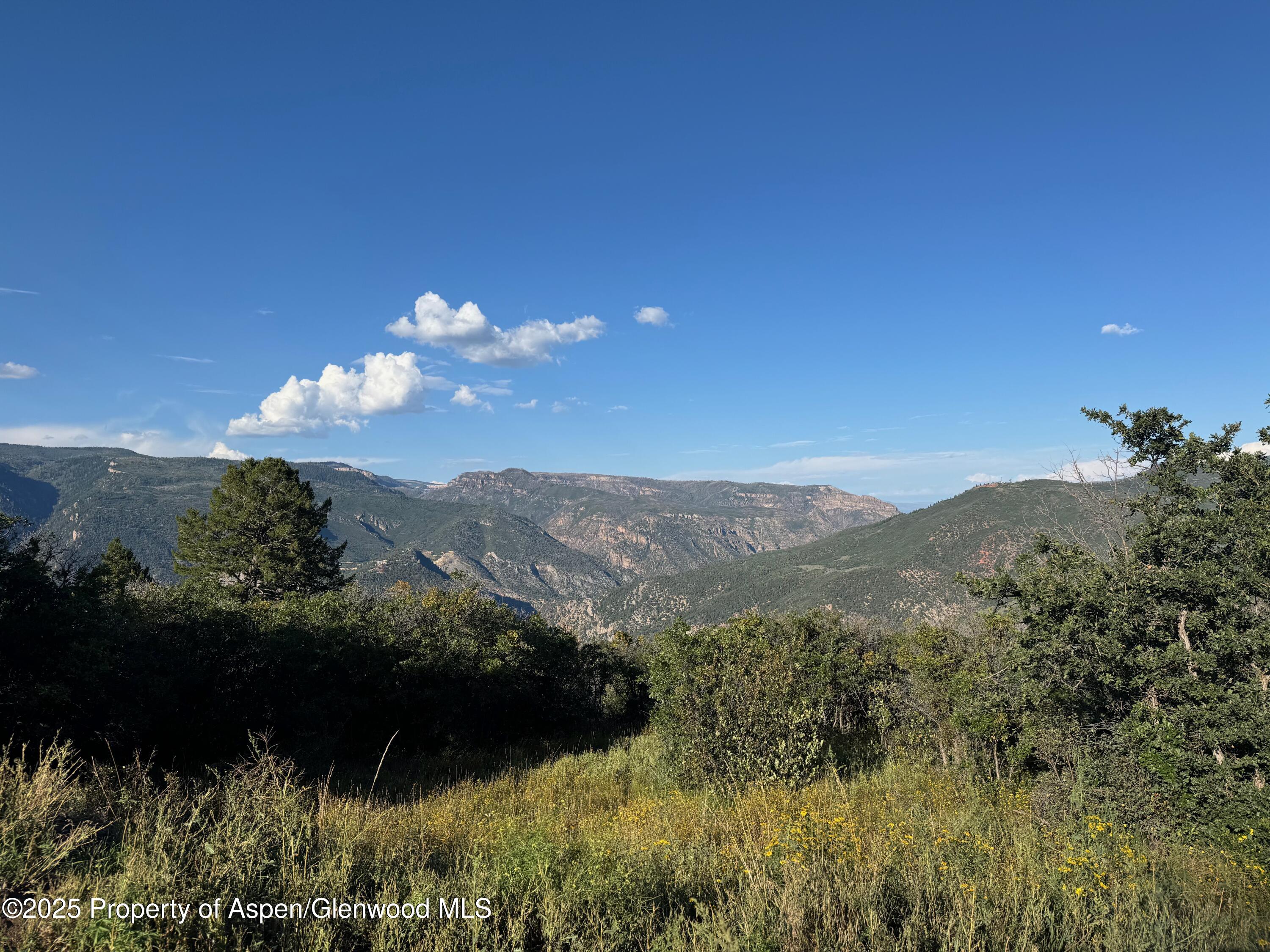 3600 Bear Paw Lane Glenwood Springs CO 81601