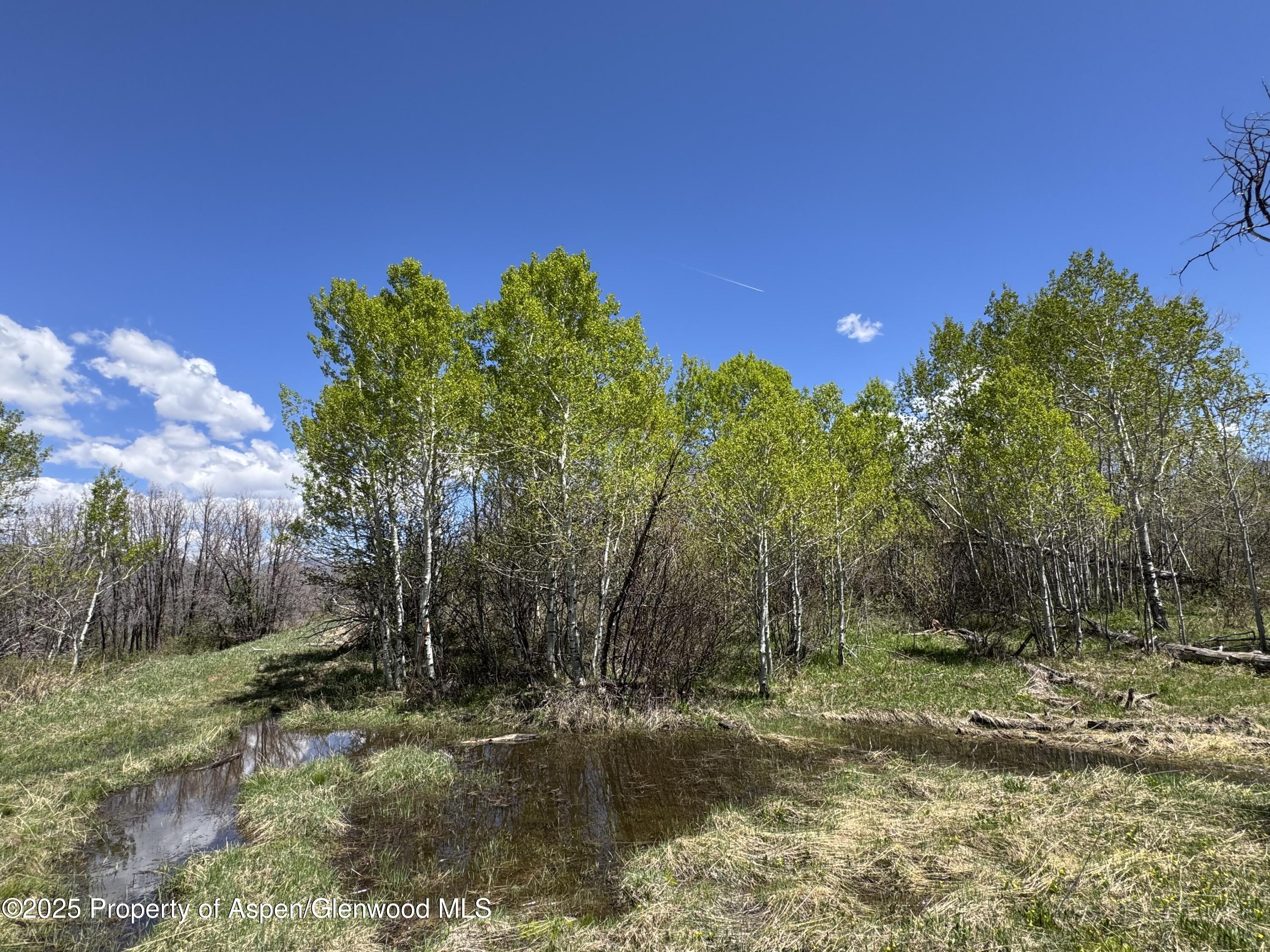 3600 Bear Paw Lane Glenwood Springs CO 81601