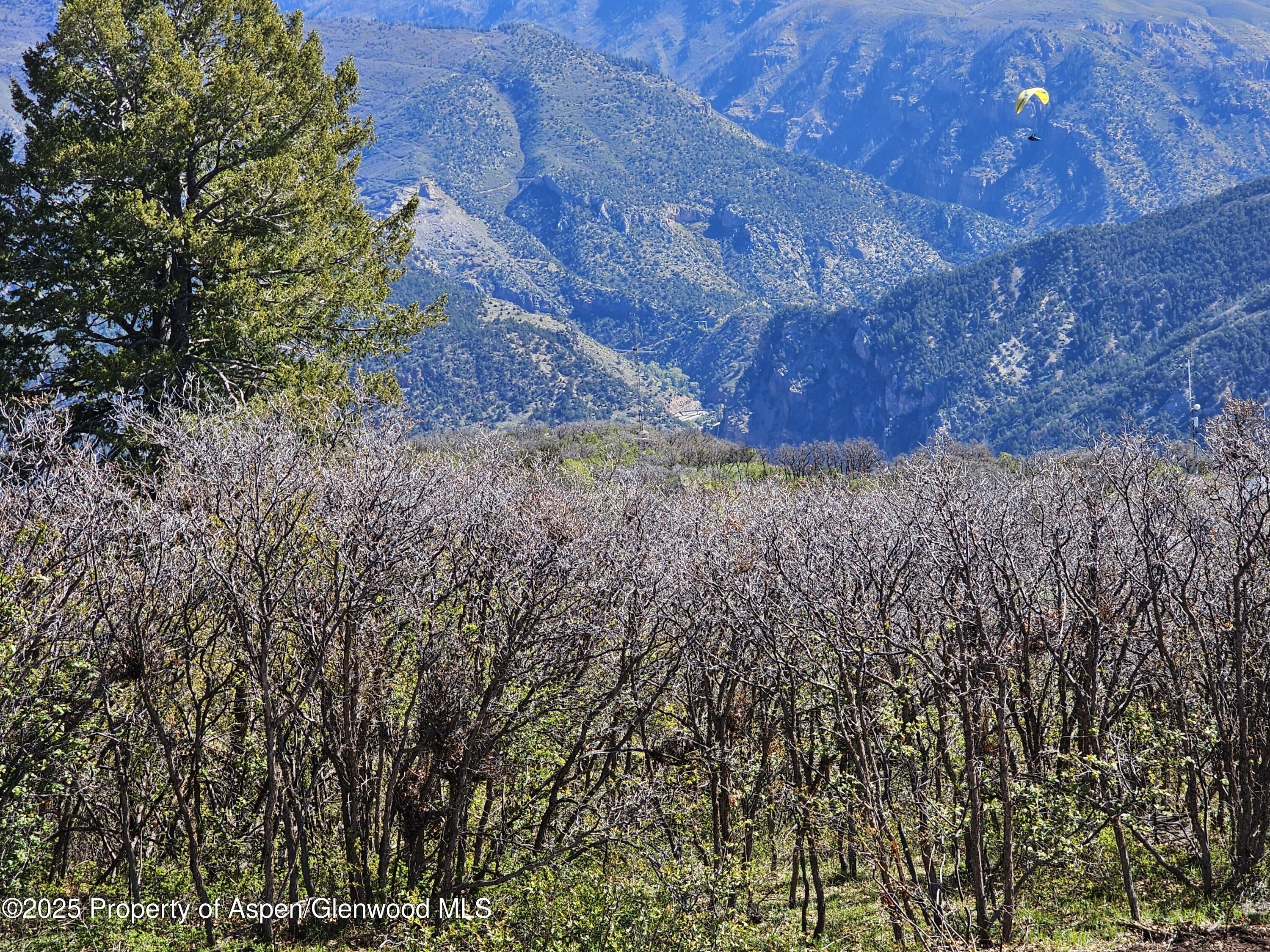 3600 Bear Paw Lane Glenwood Springs CO 81601