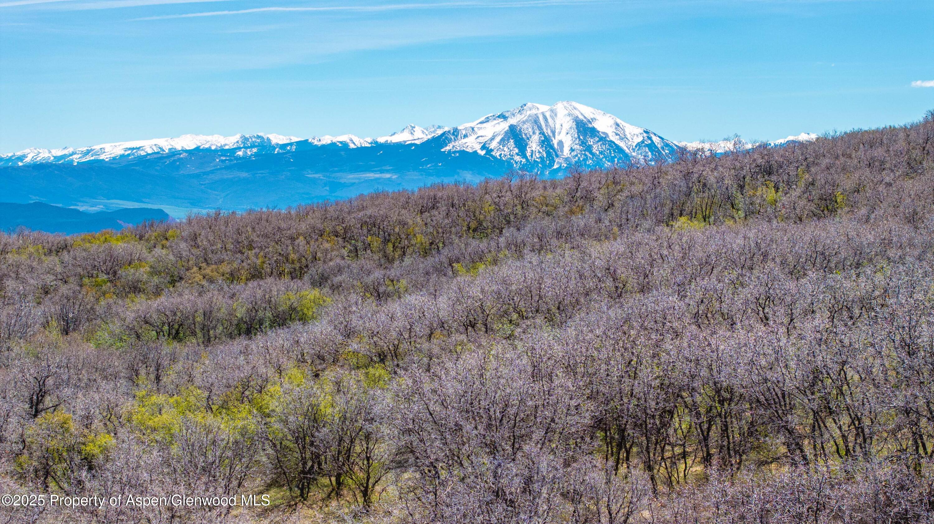 3600 Bear Paw Lane Glenwood Springs CO 81601