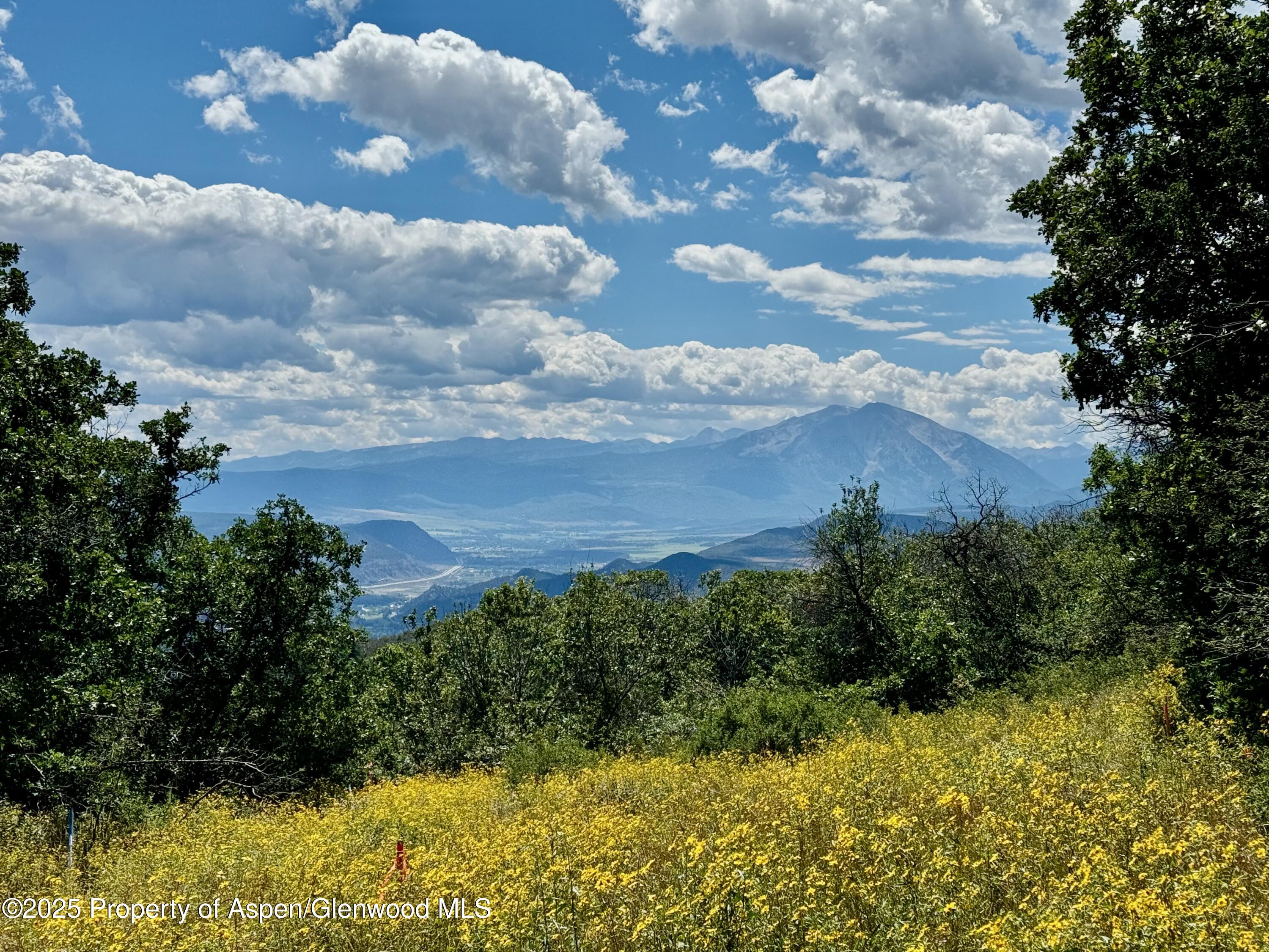 3600 Bear Paw Lane Glenwood Springs CO 81601