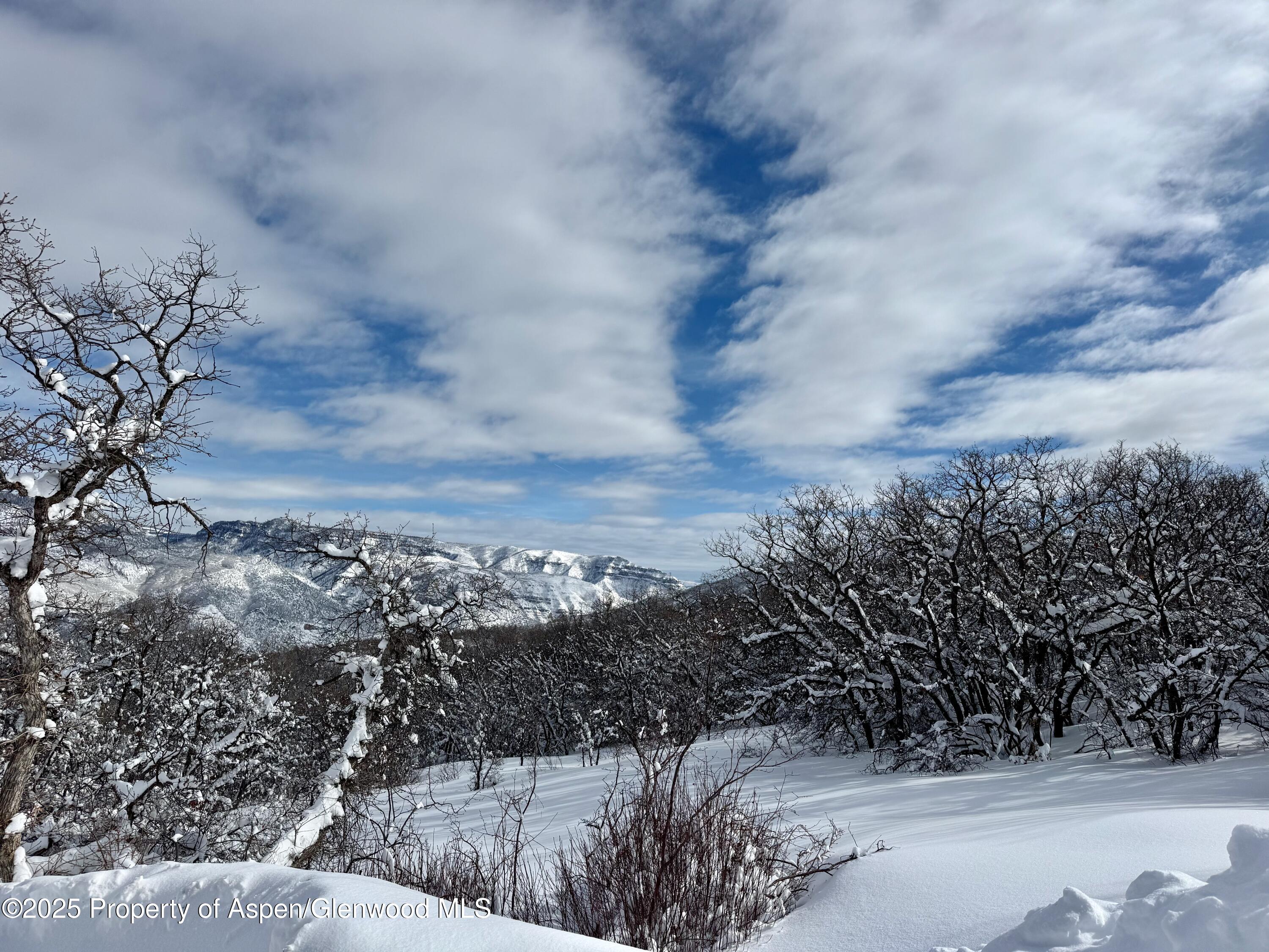 3600 Bear Paw Lane Glenwood Springs CO 81601