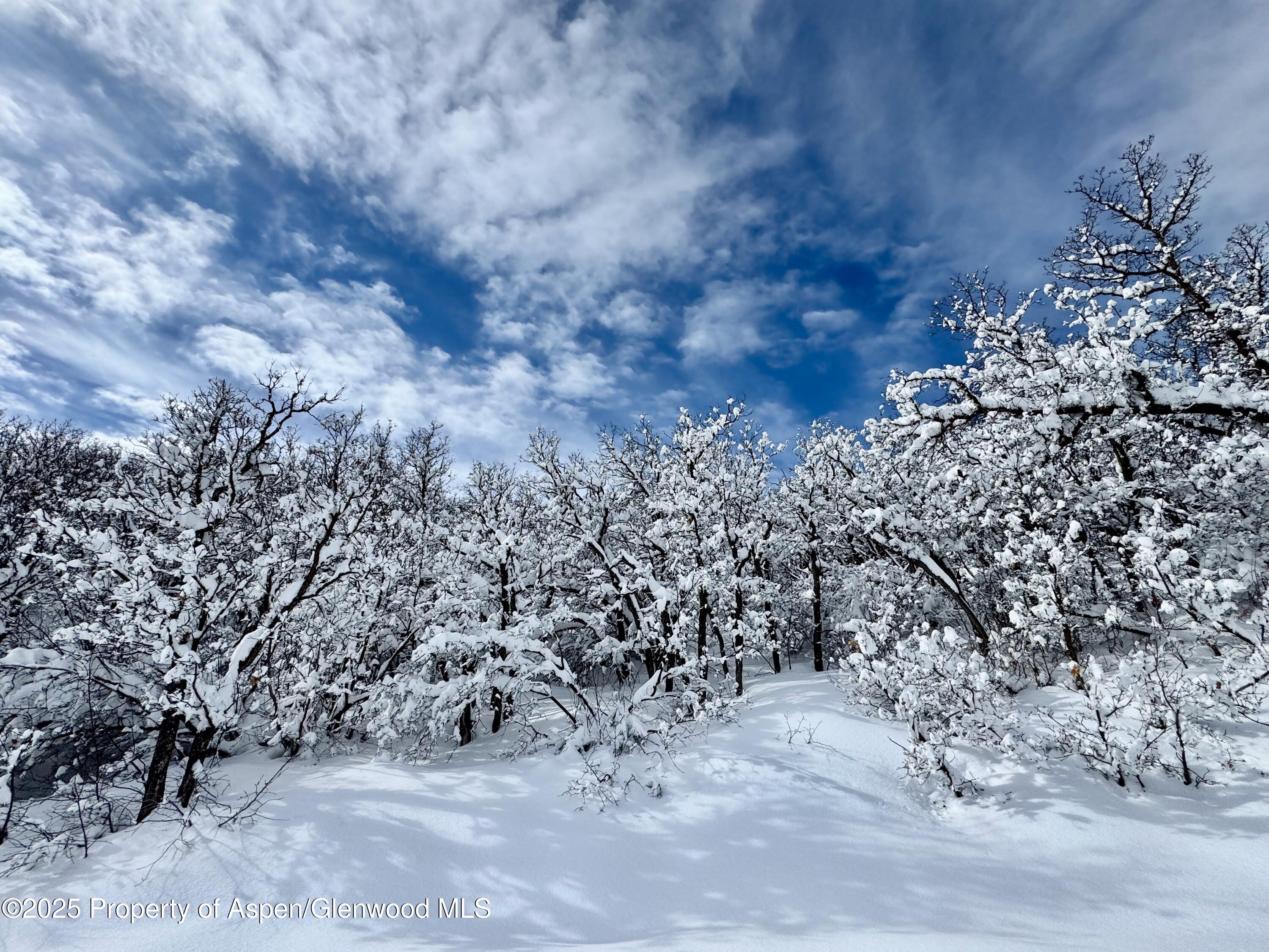 3600 Bear Paw Lane Glenwood Springs CO 81601