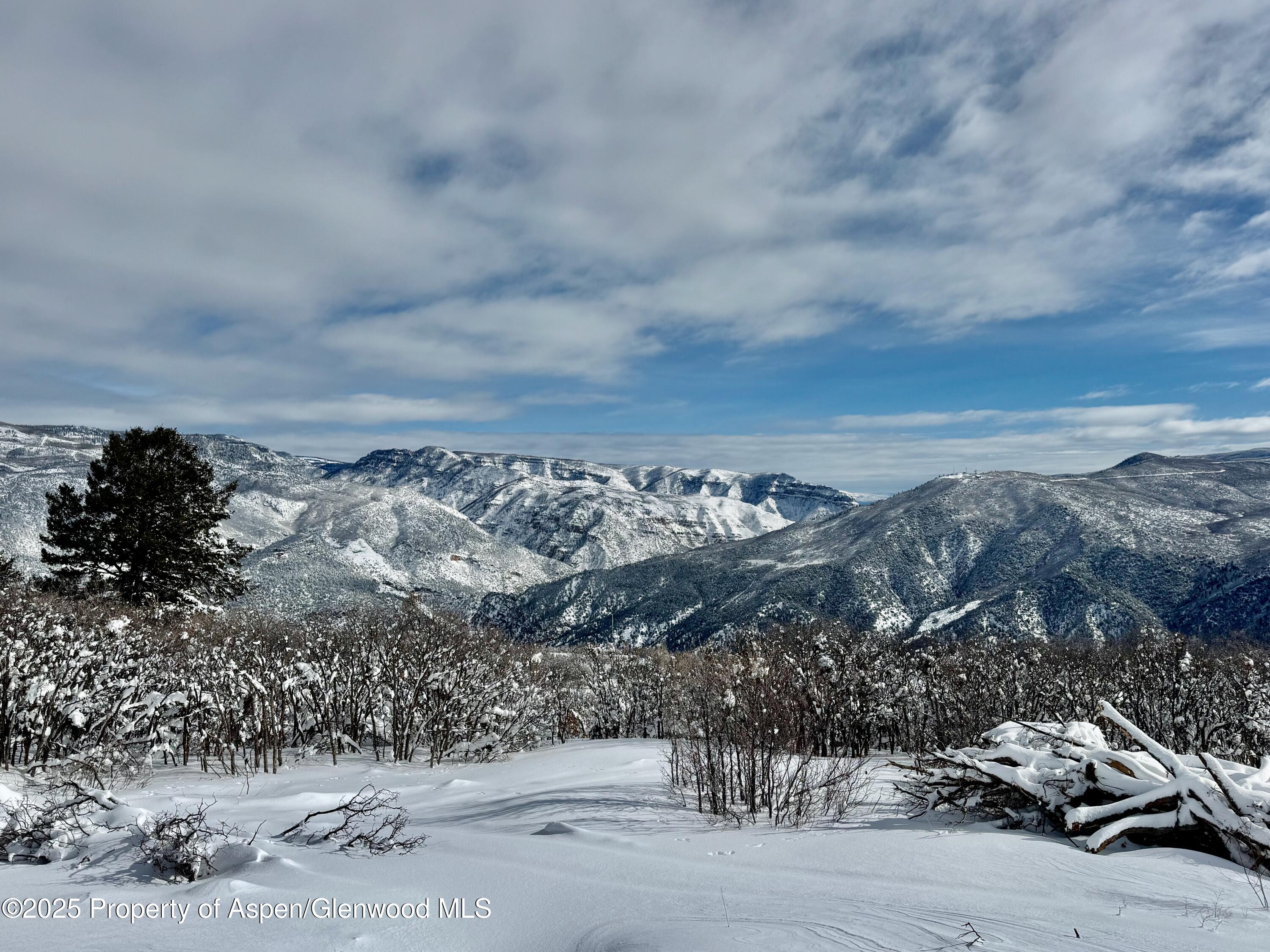 3600 Bear Paw Lane Glenwood Springs CO 81601