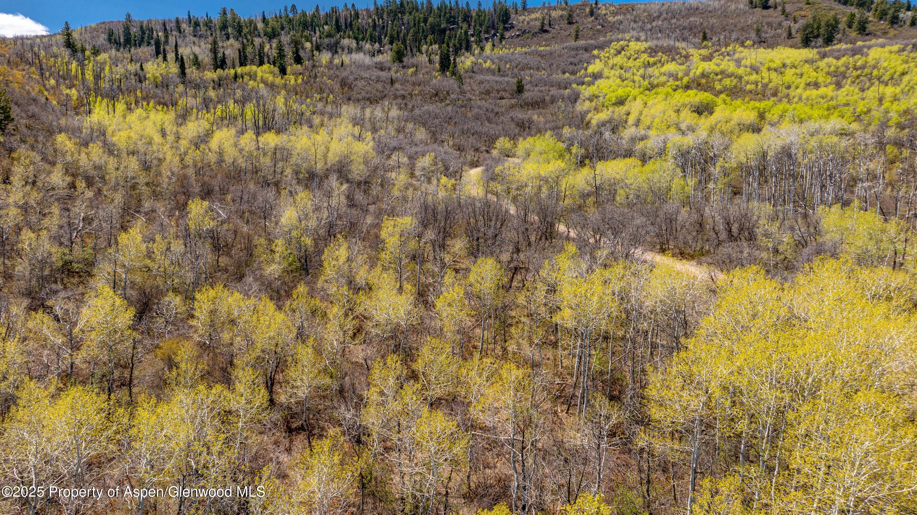 3600 Bear Paw Lane Glenwood Springs CO 81601