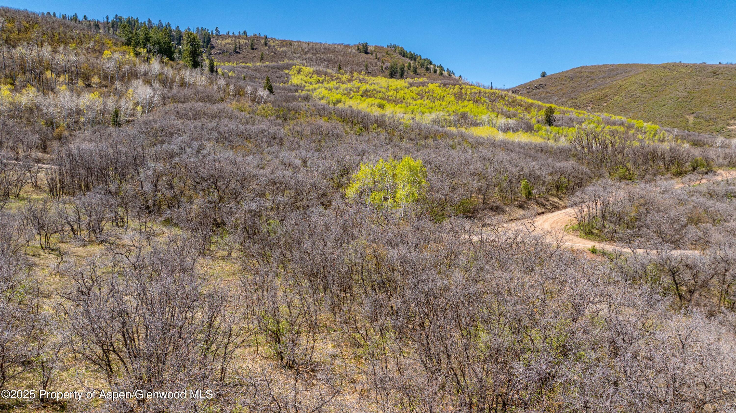 3600 Bear Paw Lane Glenwood Springs CO 81601