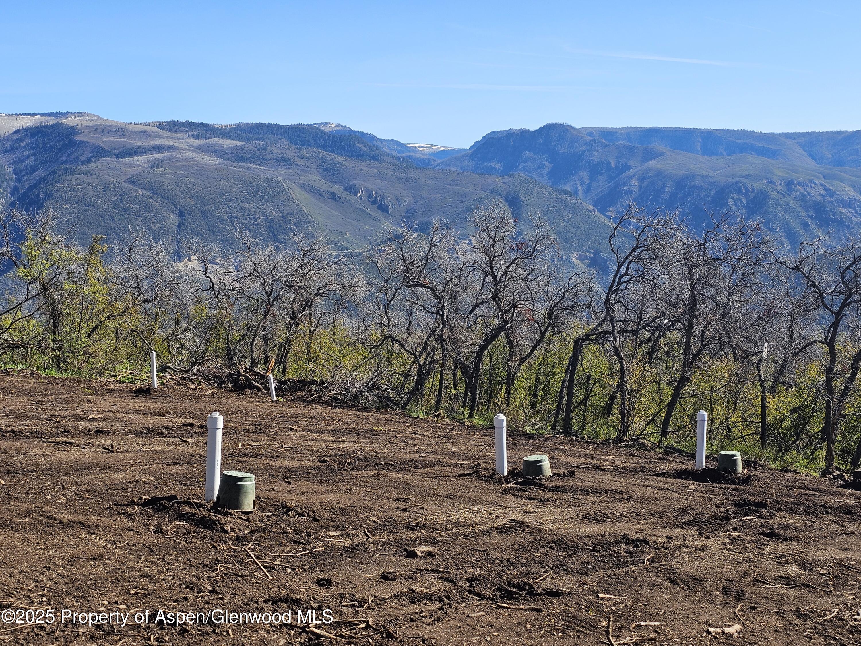 3600 Bear Paw Lane Glenwood Springs CO 81601