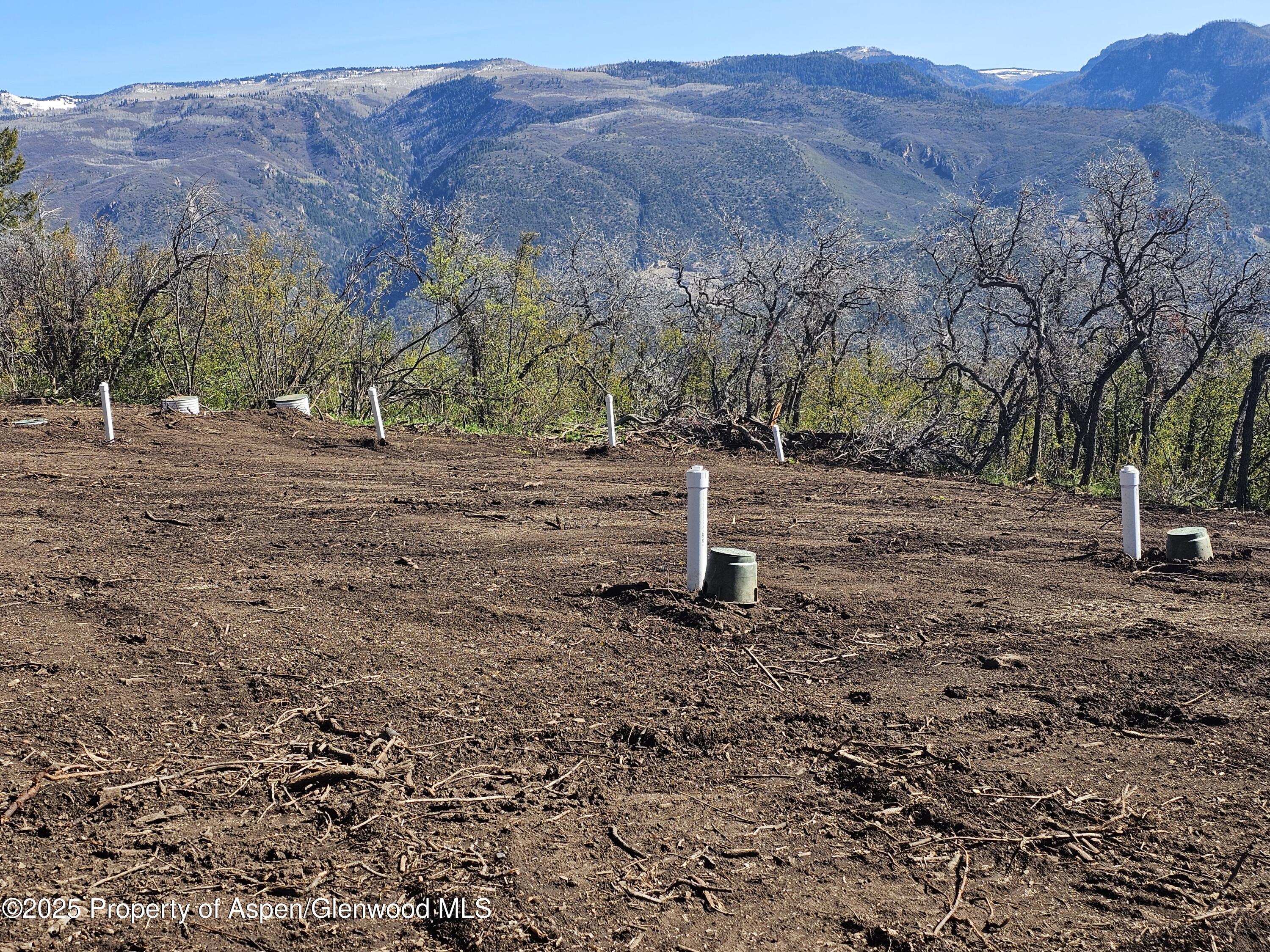 3600 Bear Paw Lane Glenwood Springs CO 81601