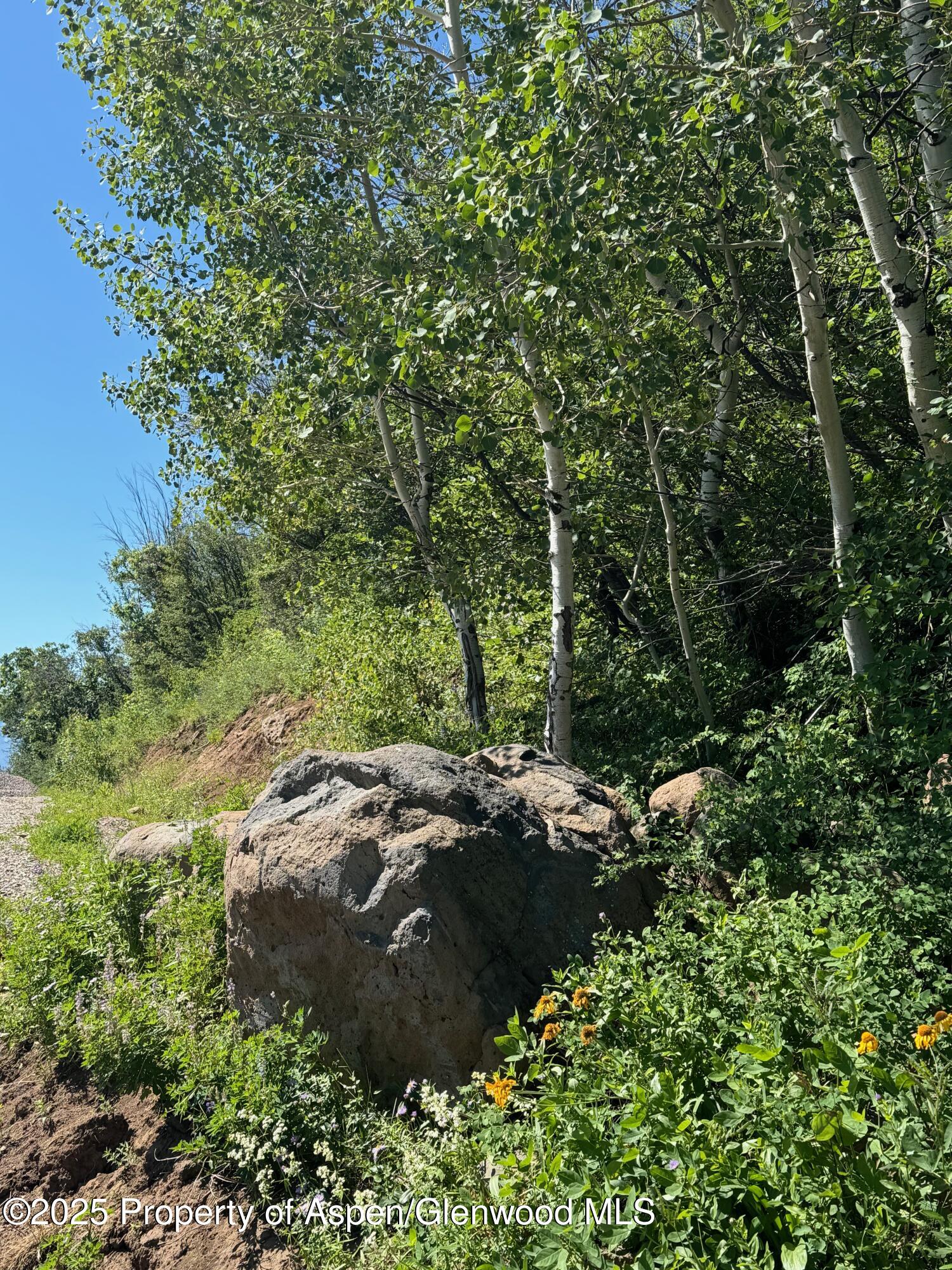 3600 Bear Paw Lane Glenwood Springs CO 81601