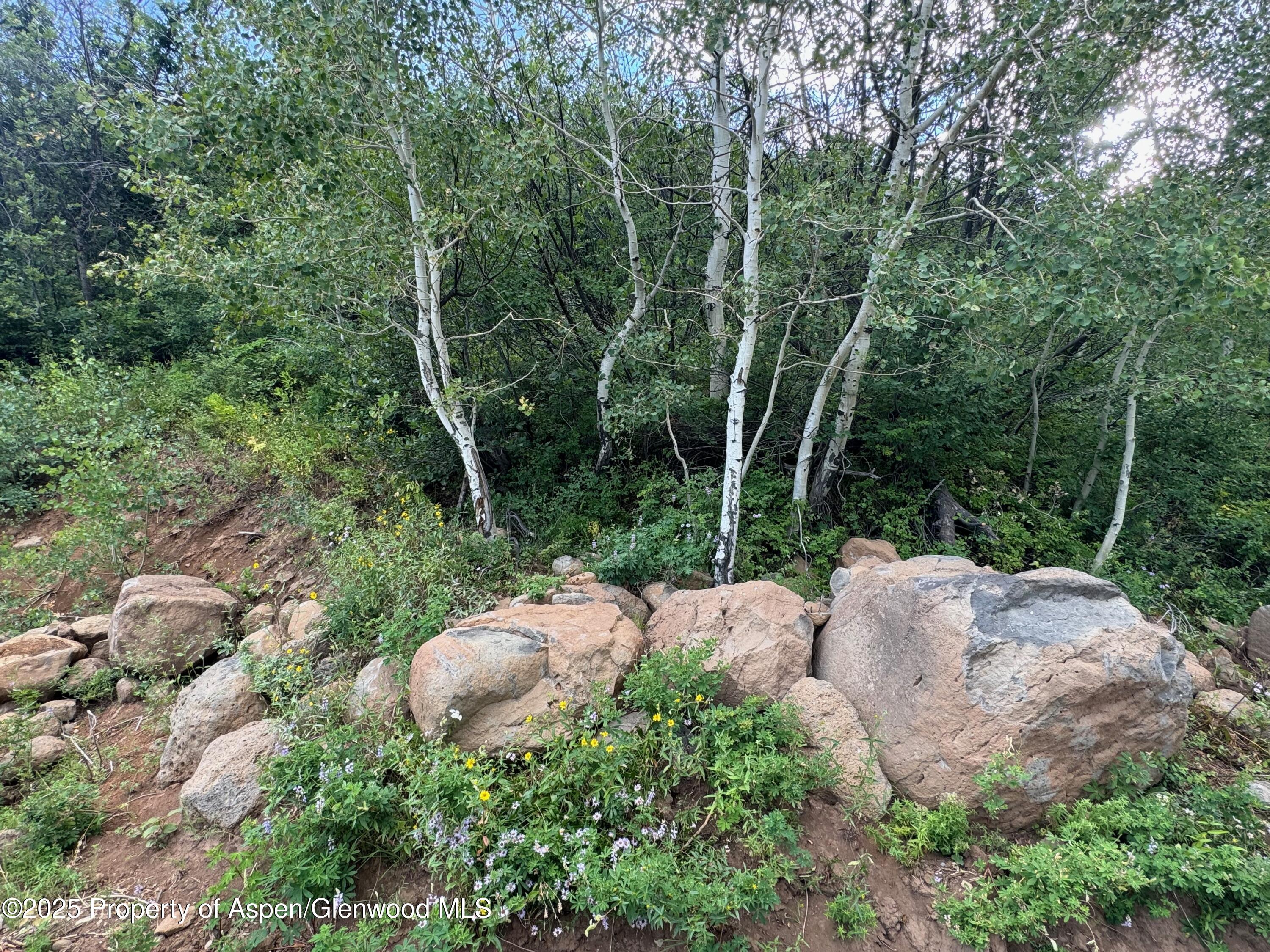 3600 Bear Paw Lane Glenwood Springs CO 81601