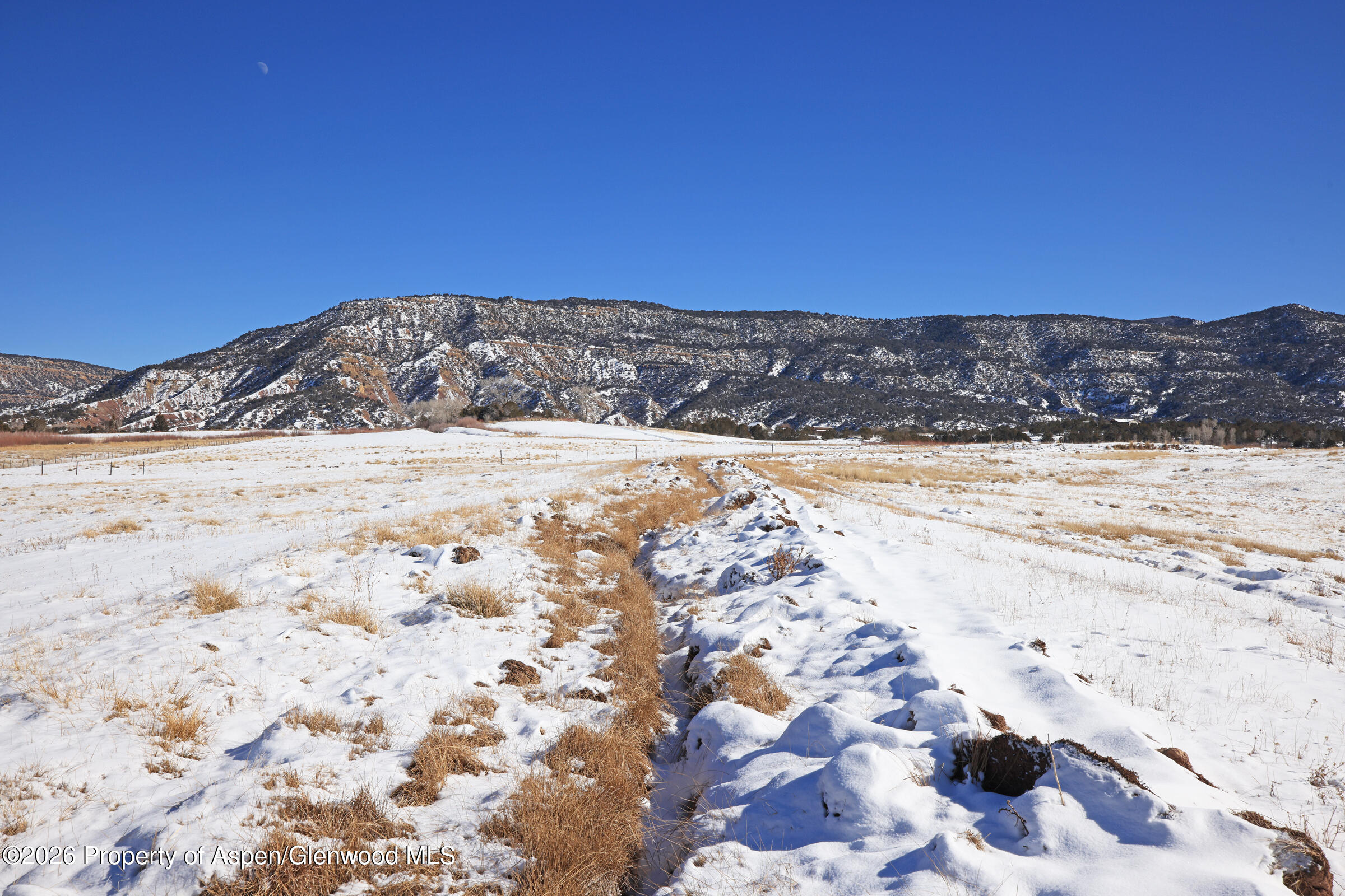 555 Glenarm Avenue Collbran CO 81624