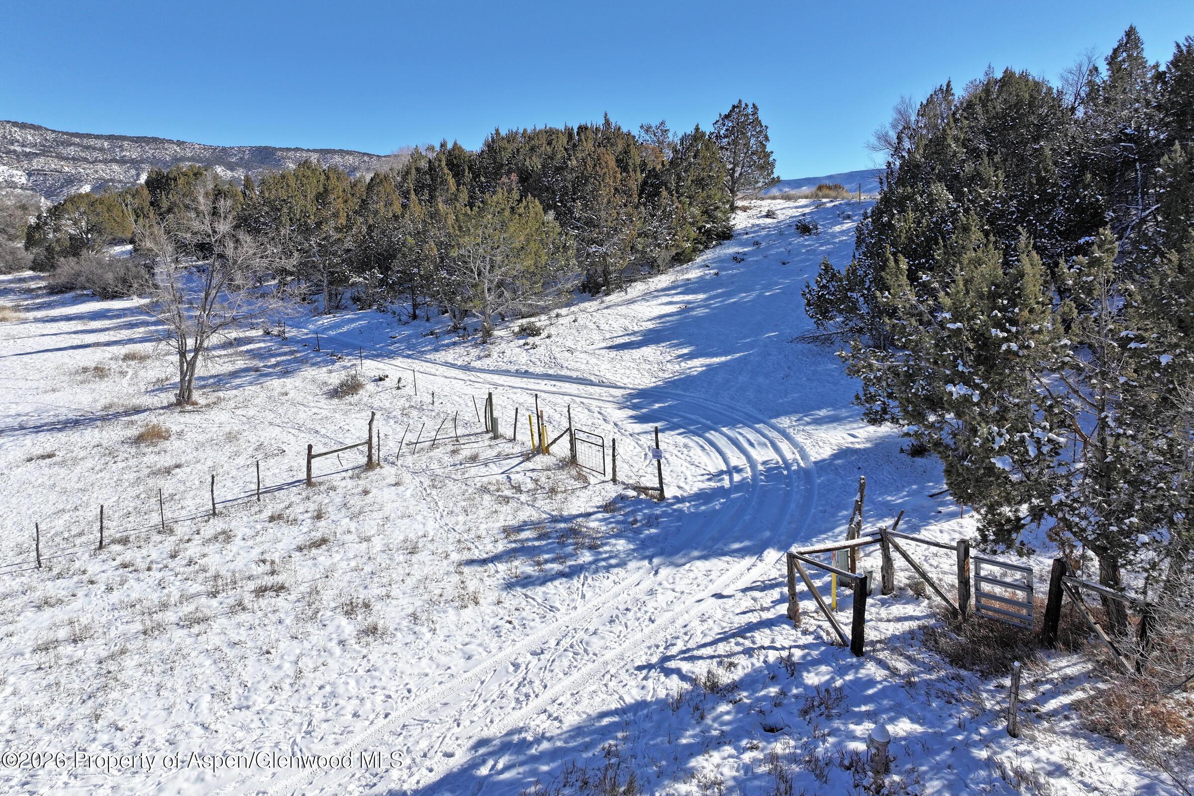 555 Glenarm Avenue Collbran CO 81624