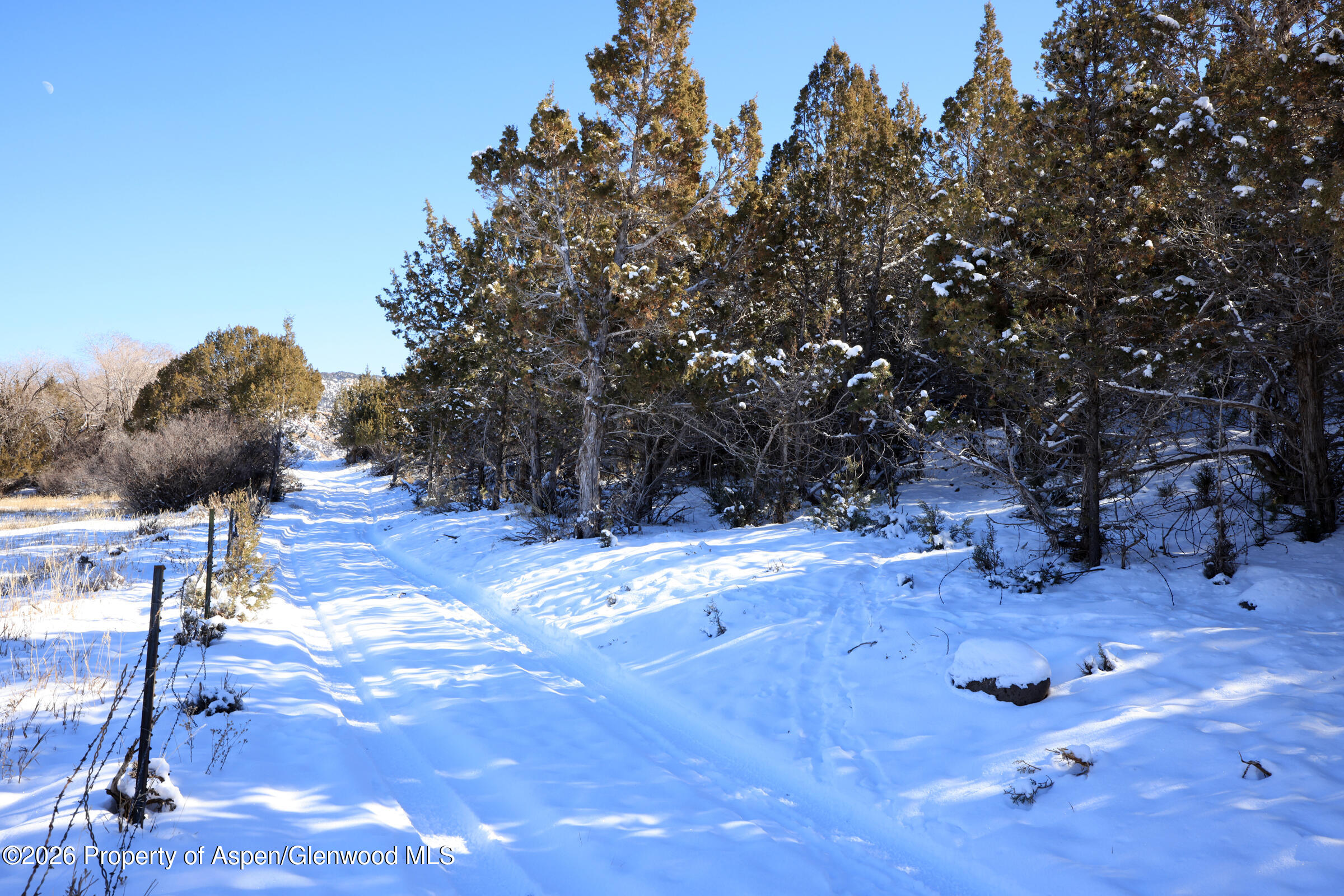 555 Glenarm Avenue Collbran CO 81624