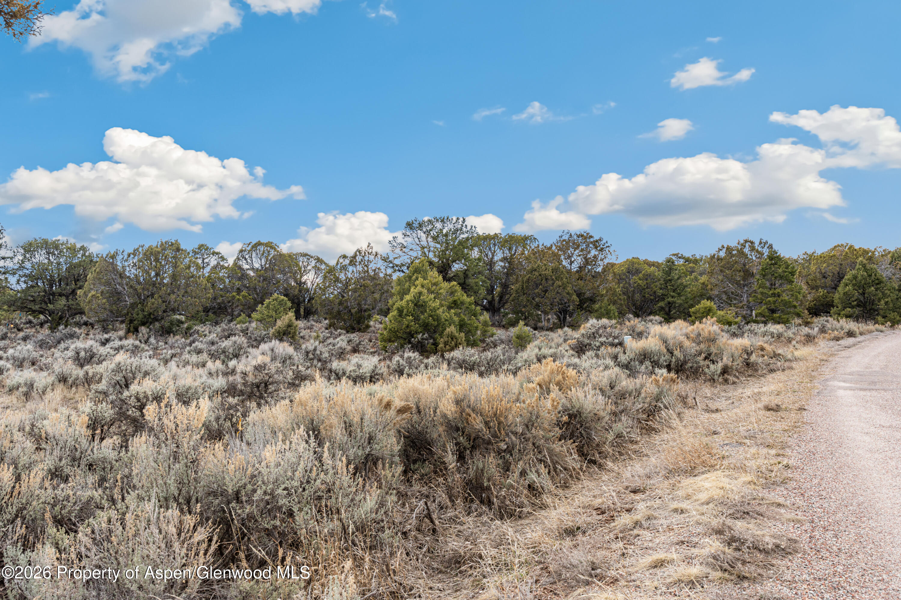 3376 Elk Springs Drive Glenwood Springs CO 81601