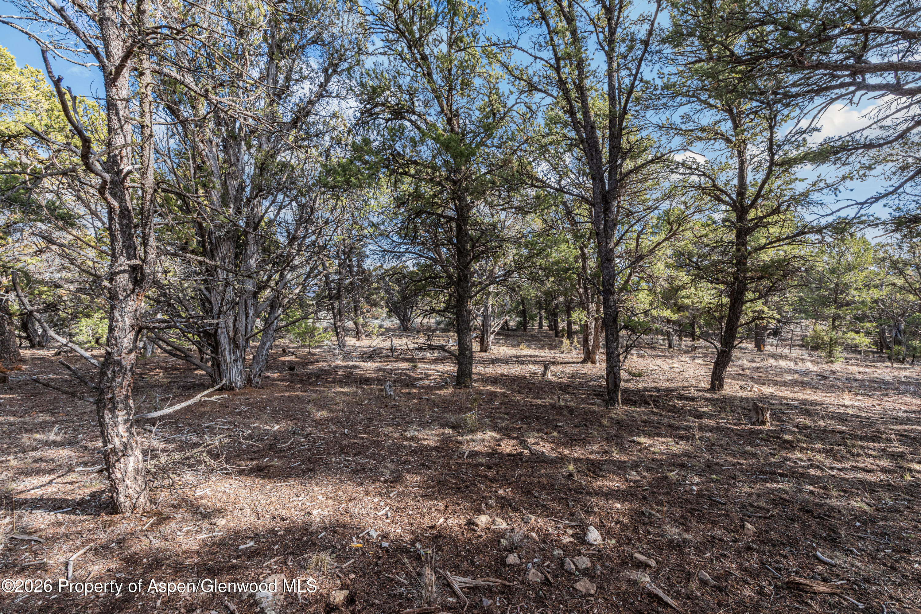 3376 Elk Springs Drive Glenwood Springs CO 81601