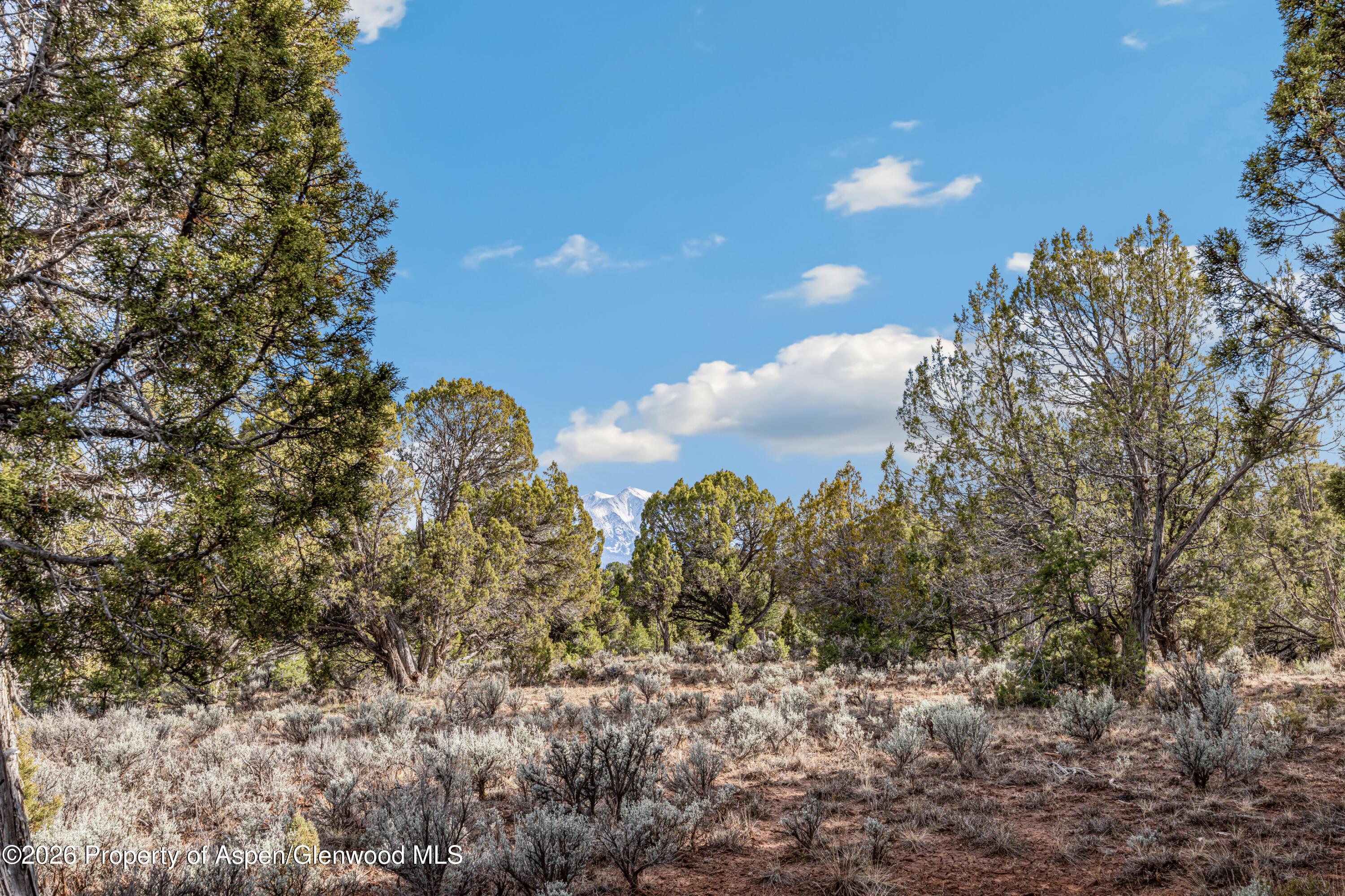 3376 Elk Springs Drive Glenwood Springs CO 81601