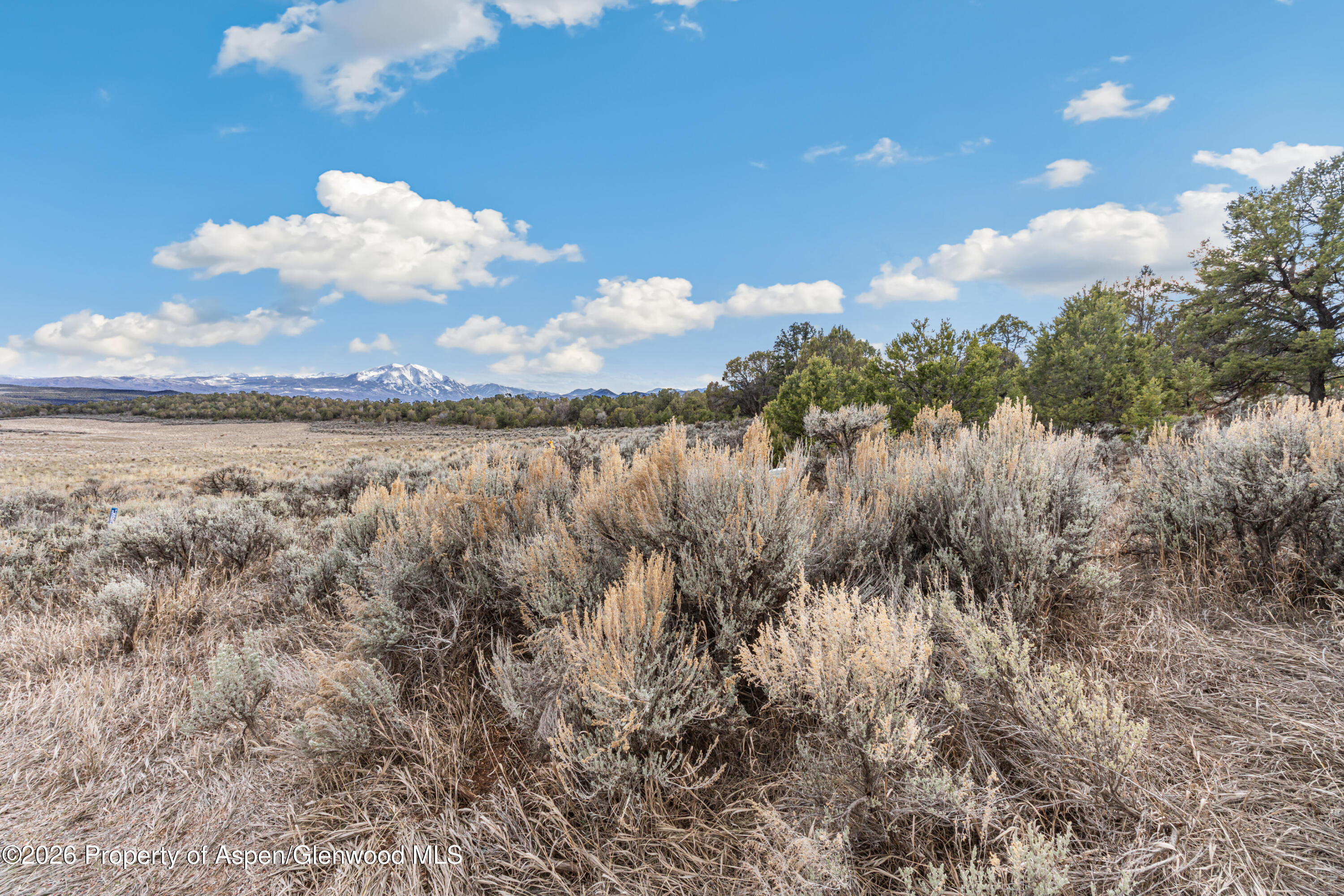 3376 Elk Springs Drive Glenwood Springs CO 81601