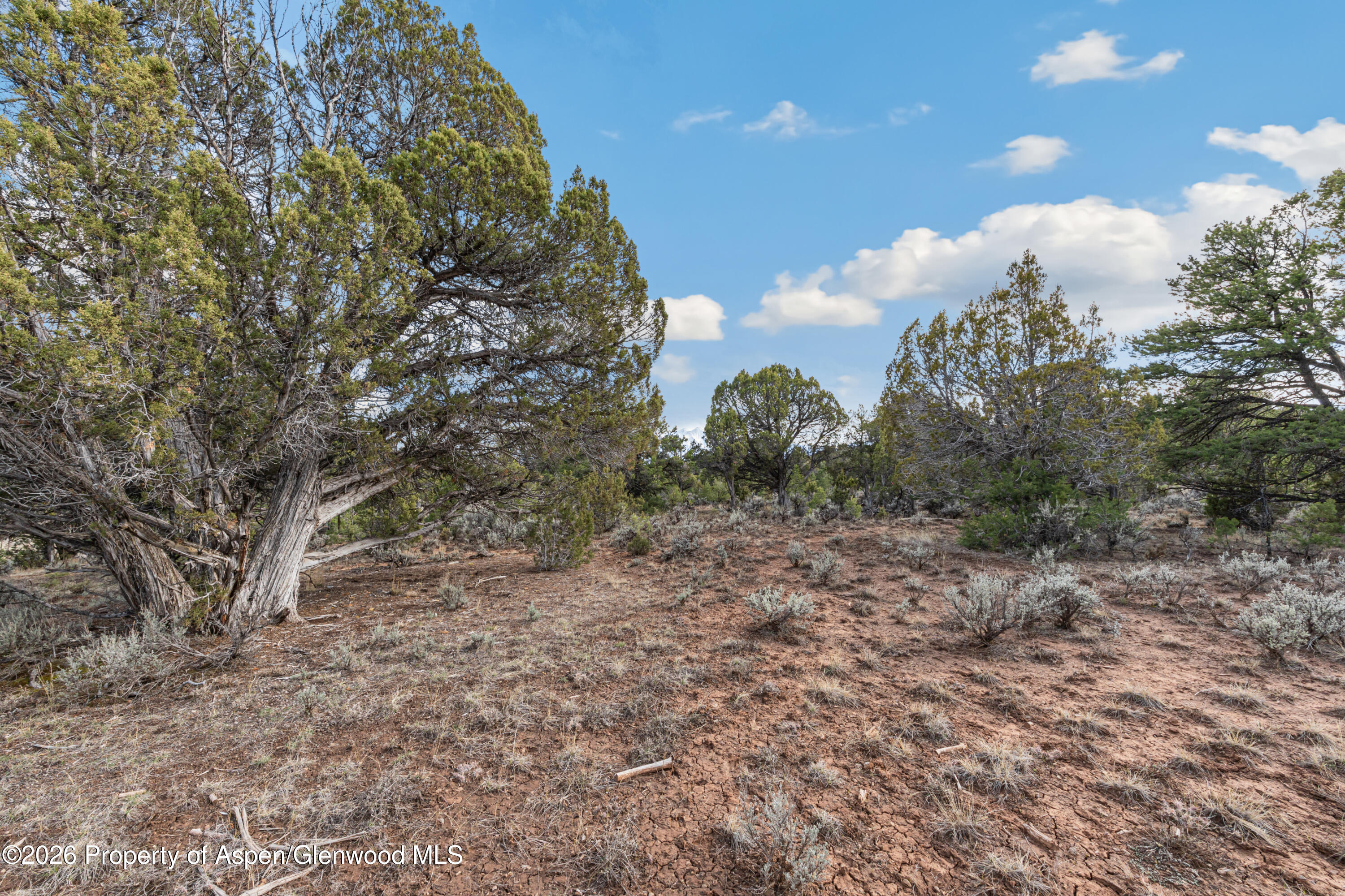 3376 Elk Springs Drive Glenwood Springs CO 81601