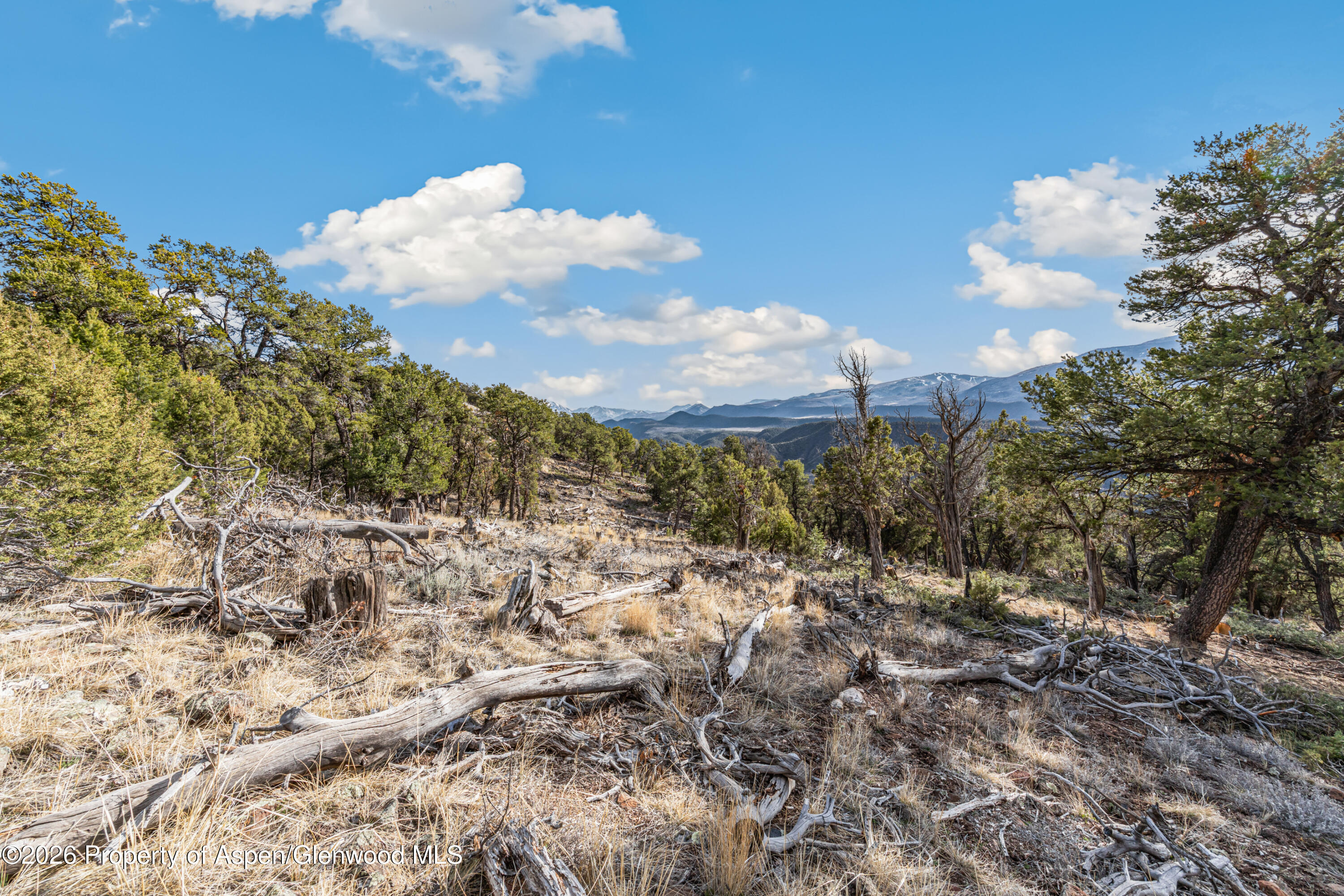 3376 Elk Springs Drive Glenwood Springs CO 81601