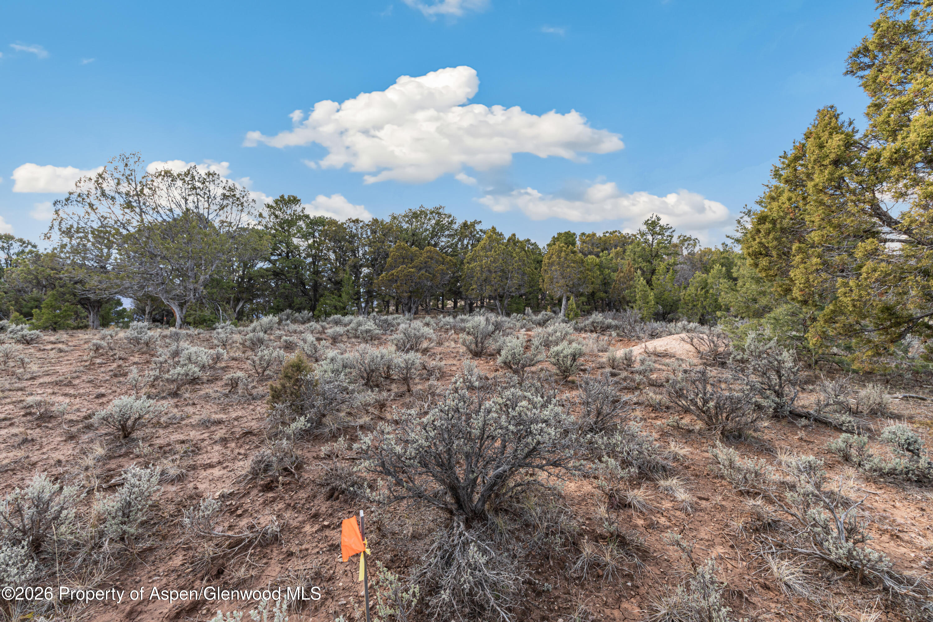 3376 Elk Springs Drive Glenwood Springs CO 81601