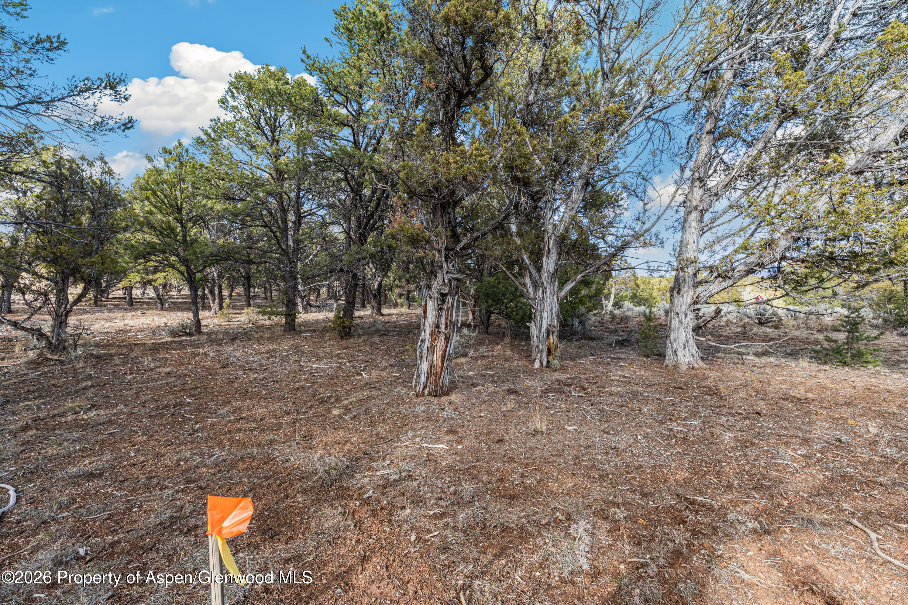 3376 Elk Springs Drive Glenwood Springs CO 81601