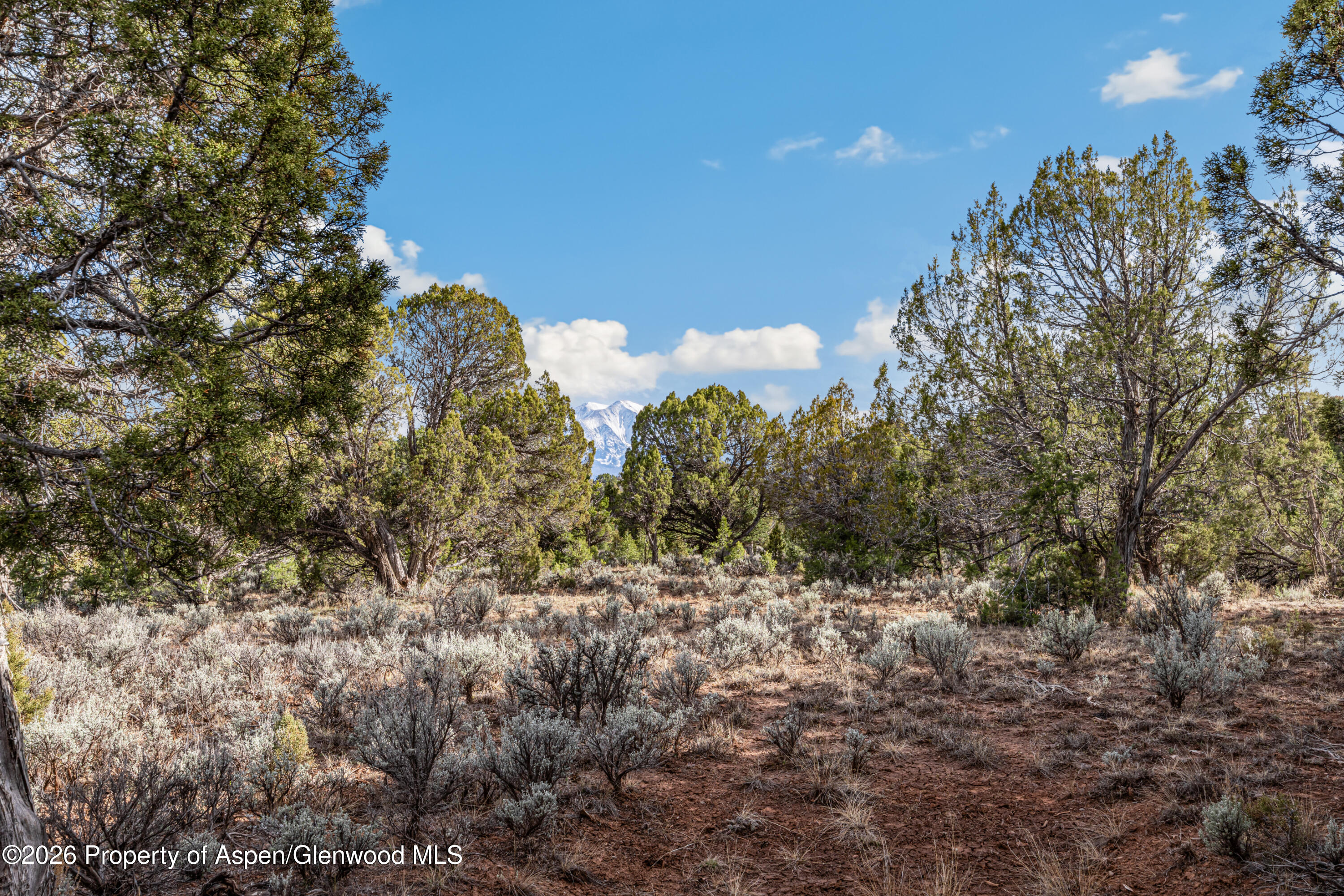 3376 Elk Springs Drive Glenwood Springs CO 81601