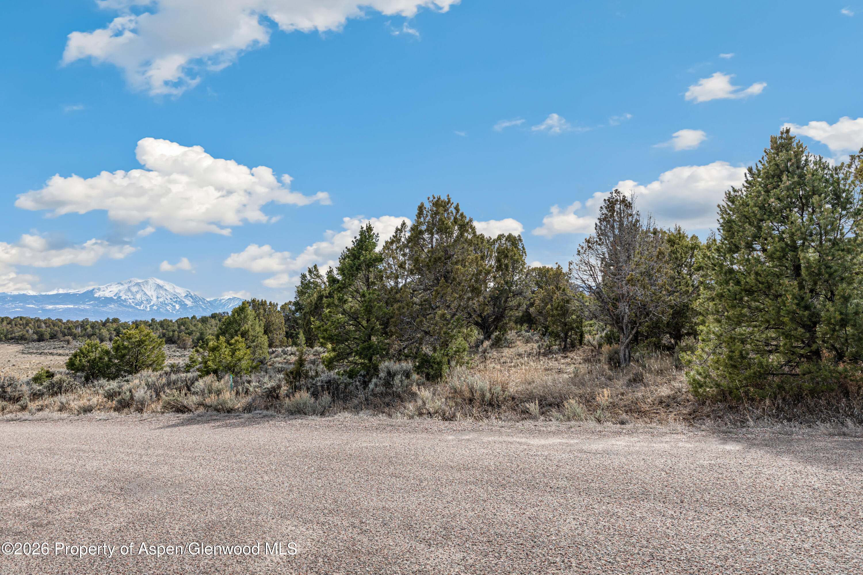 3376 Elk Springs Drive Glenwood Springs CO 81601