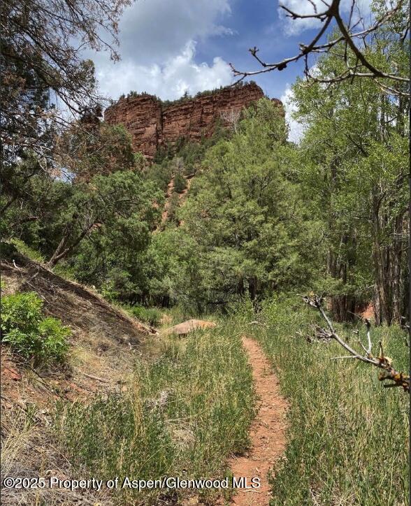 1200 Frying Pan Road Basalt CO 81621